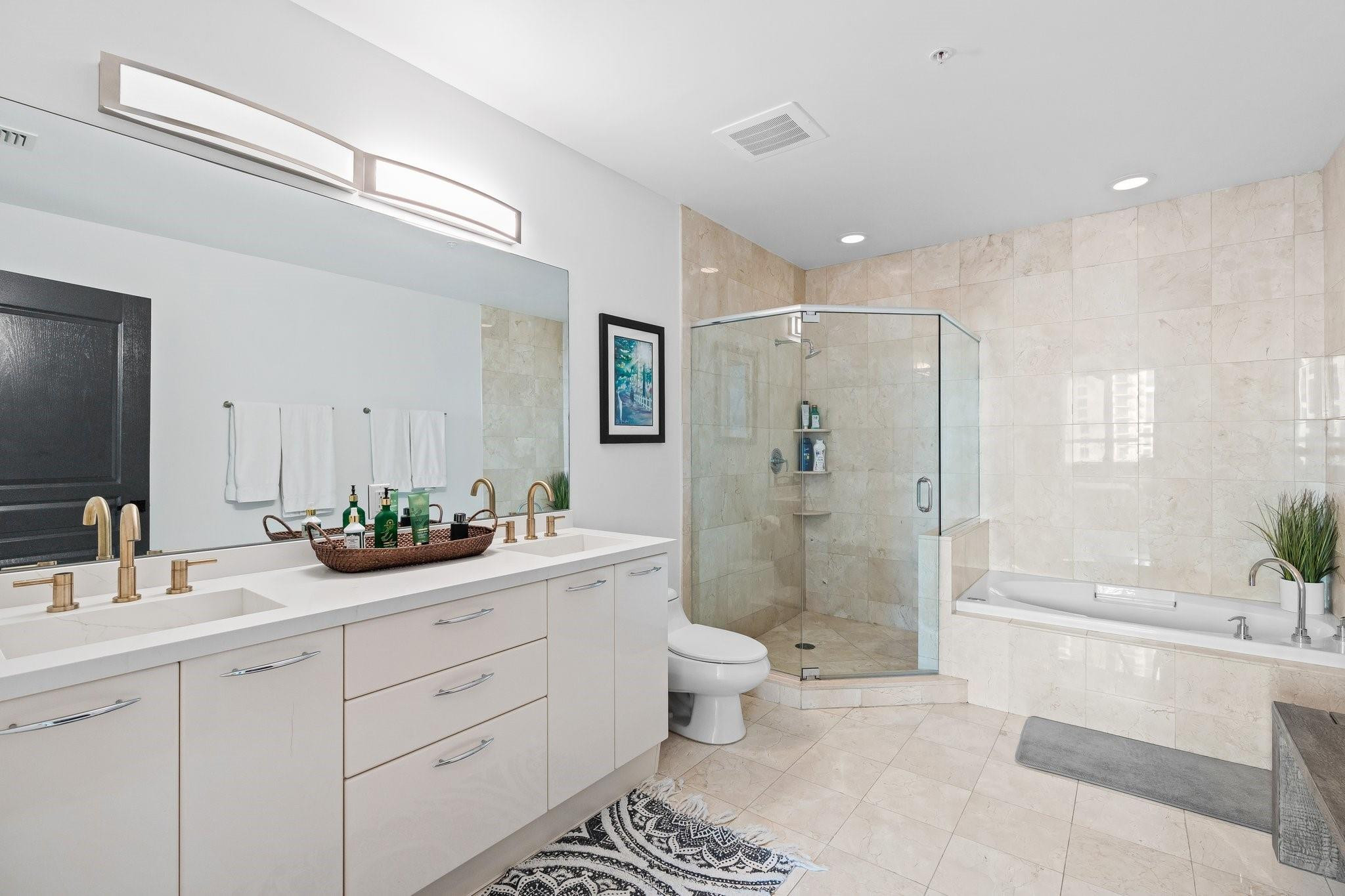 Dual Sink - Shower & Tub