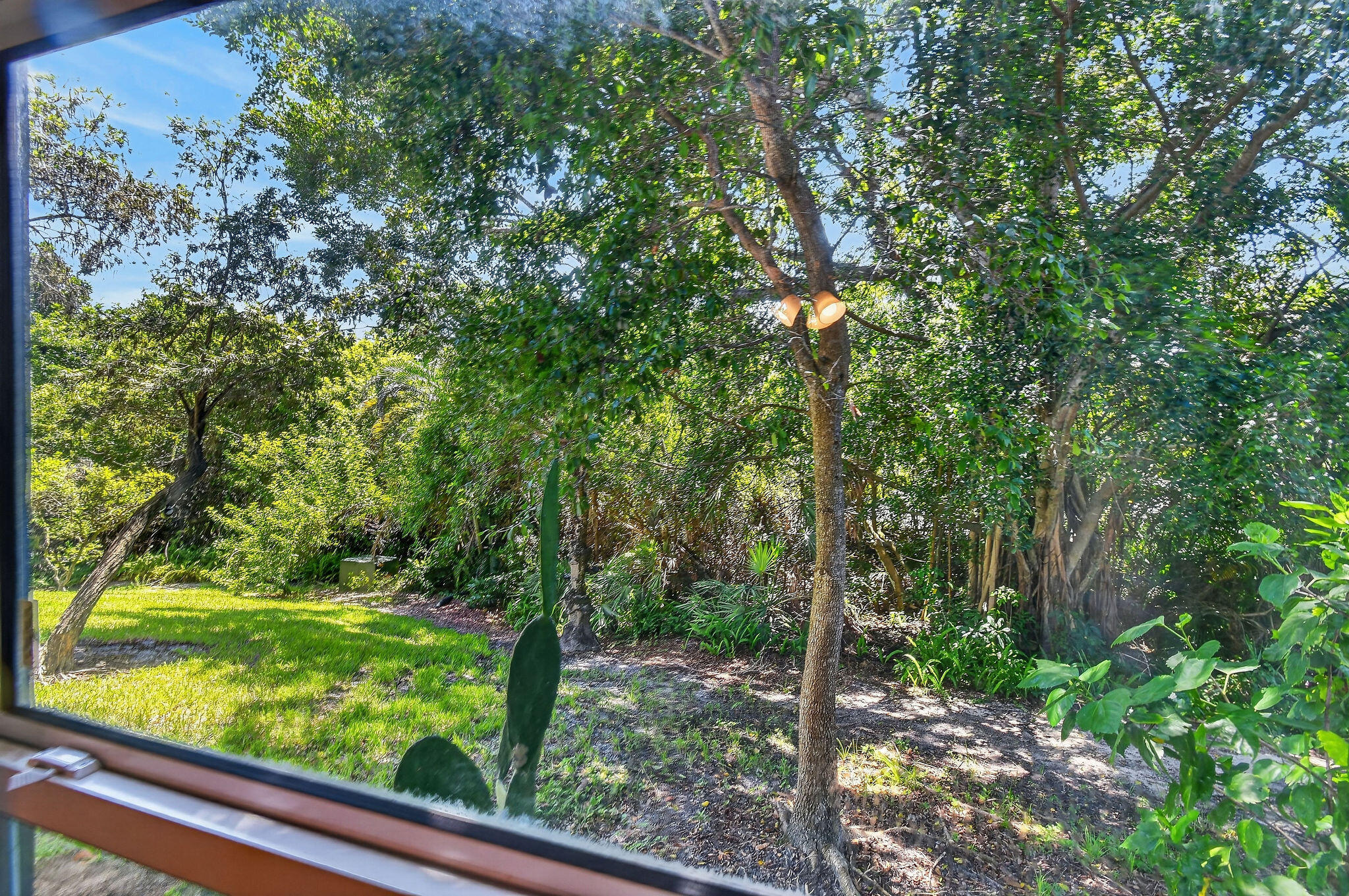 Tropical landscaped views