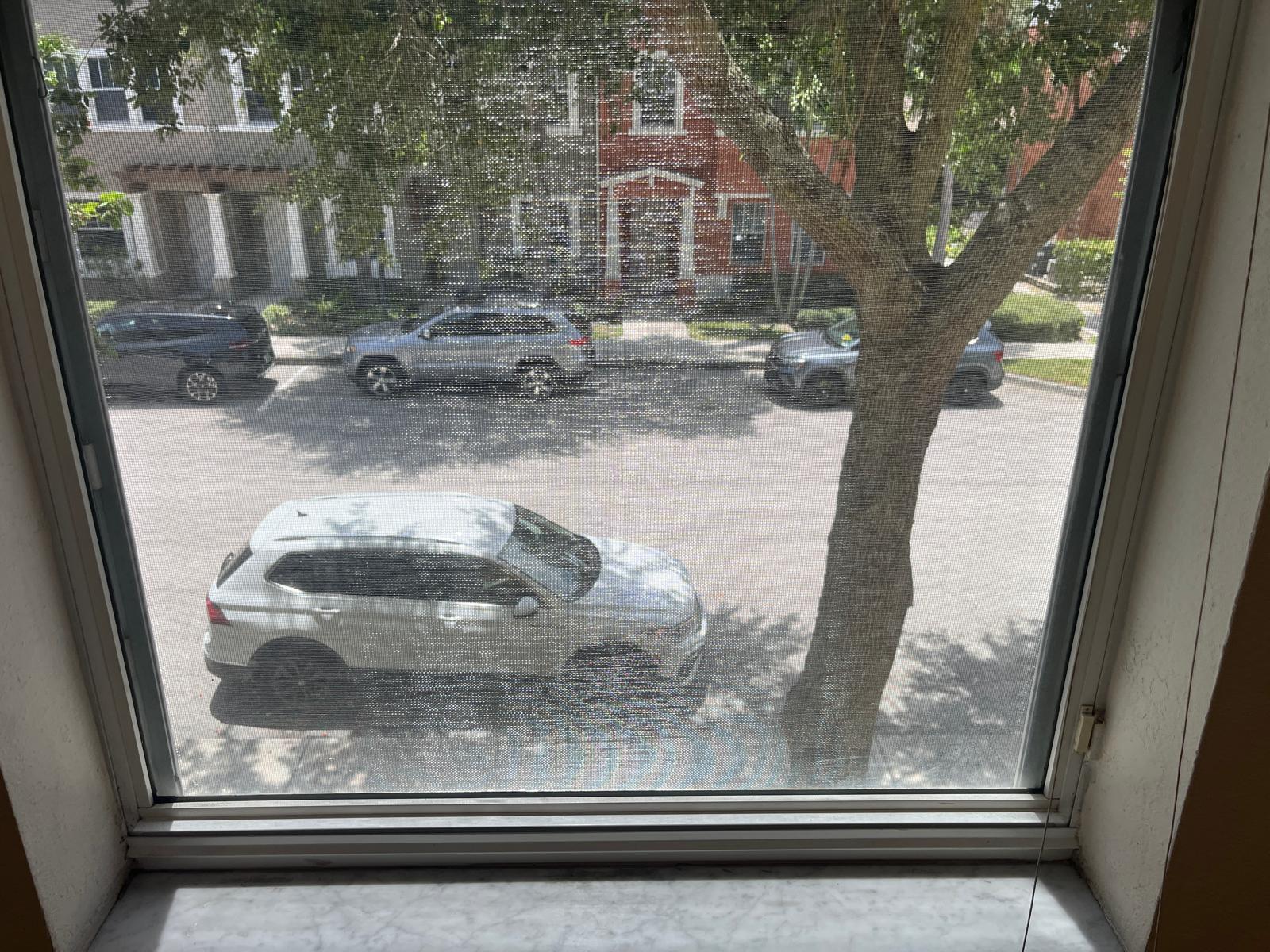 View to Street From Window