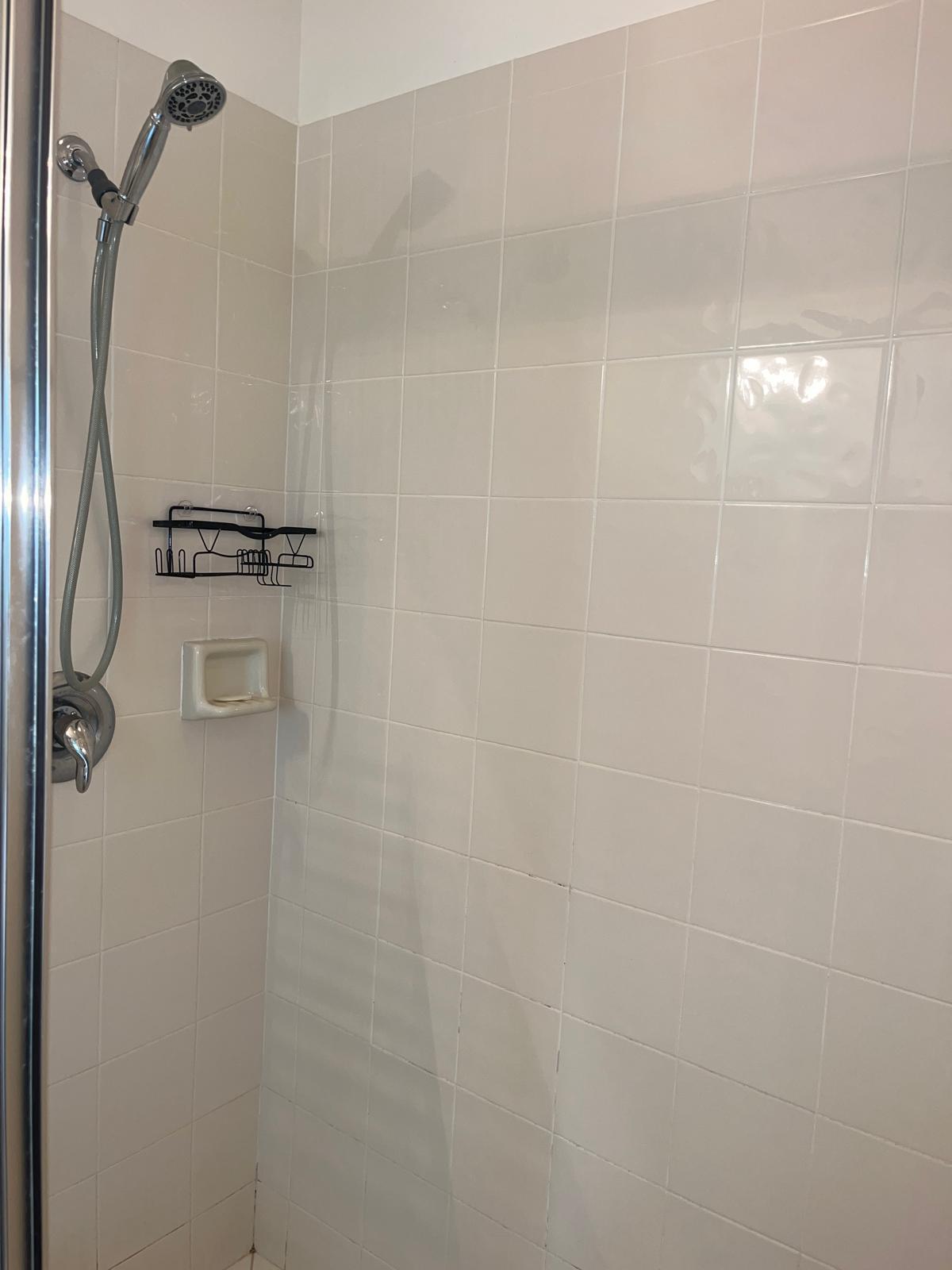 Master Bedroom Shower