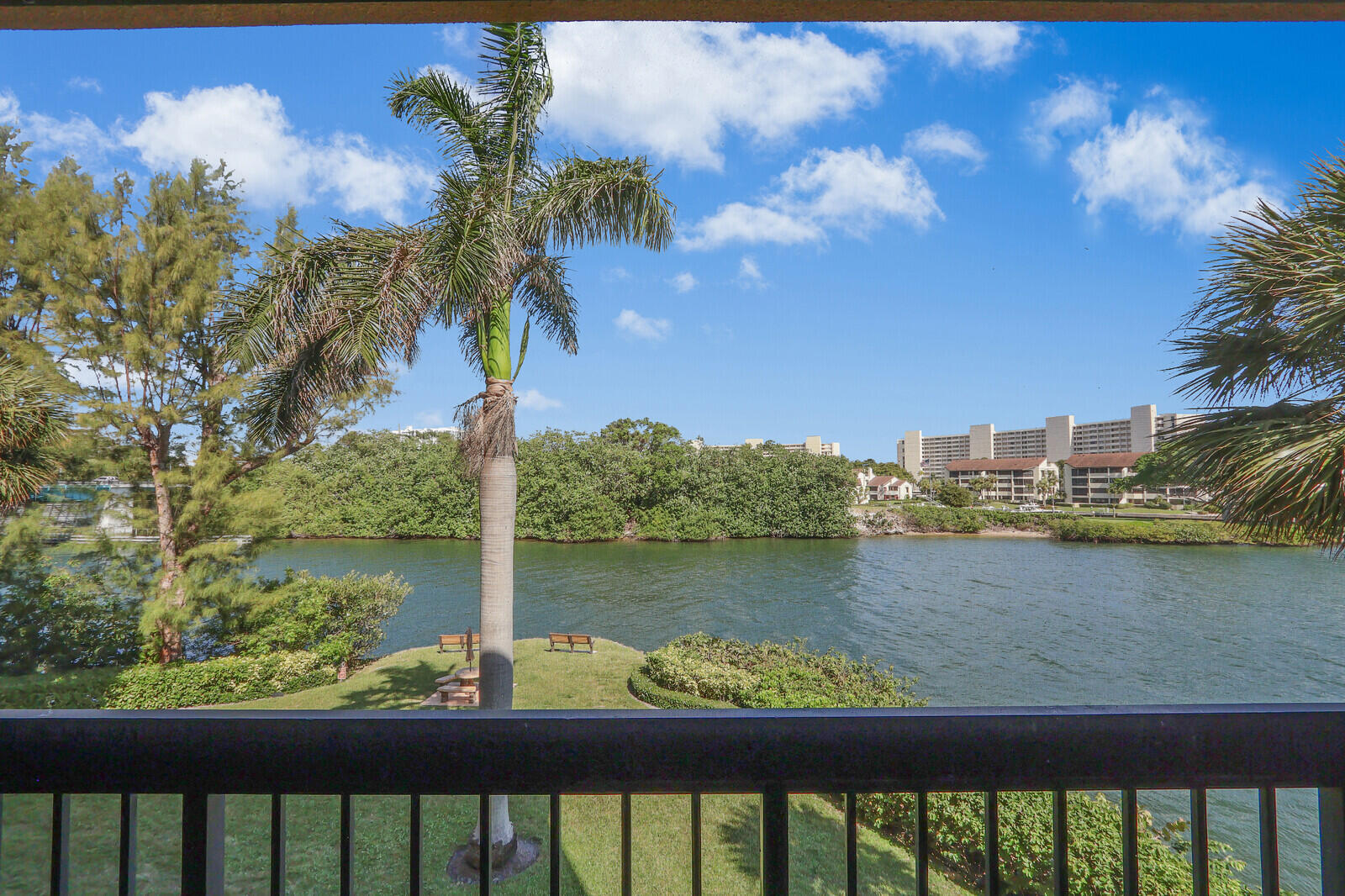 View from the Balcony
