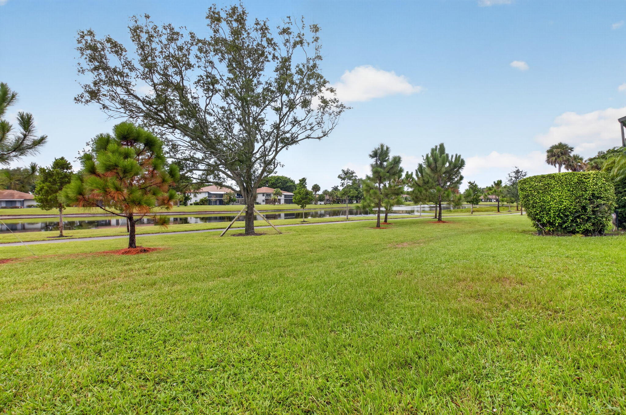 YOUR BACKYARD!