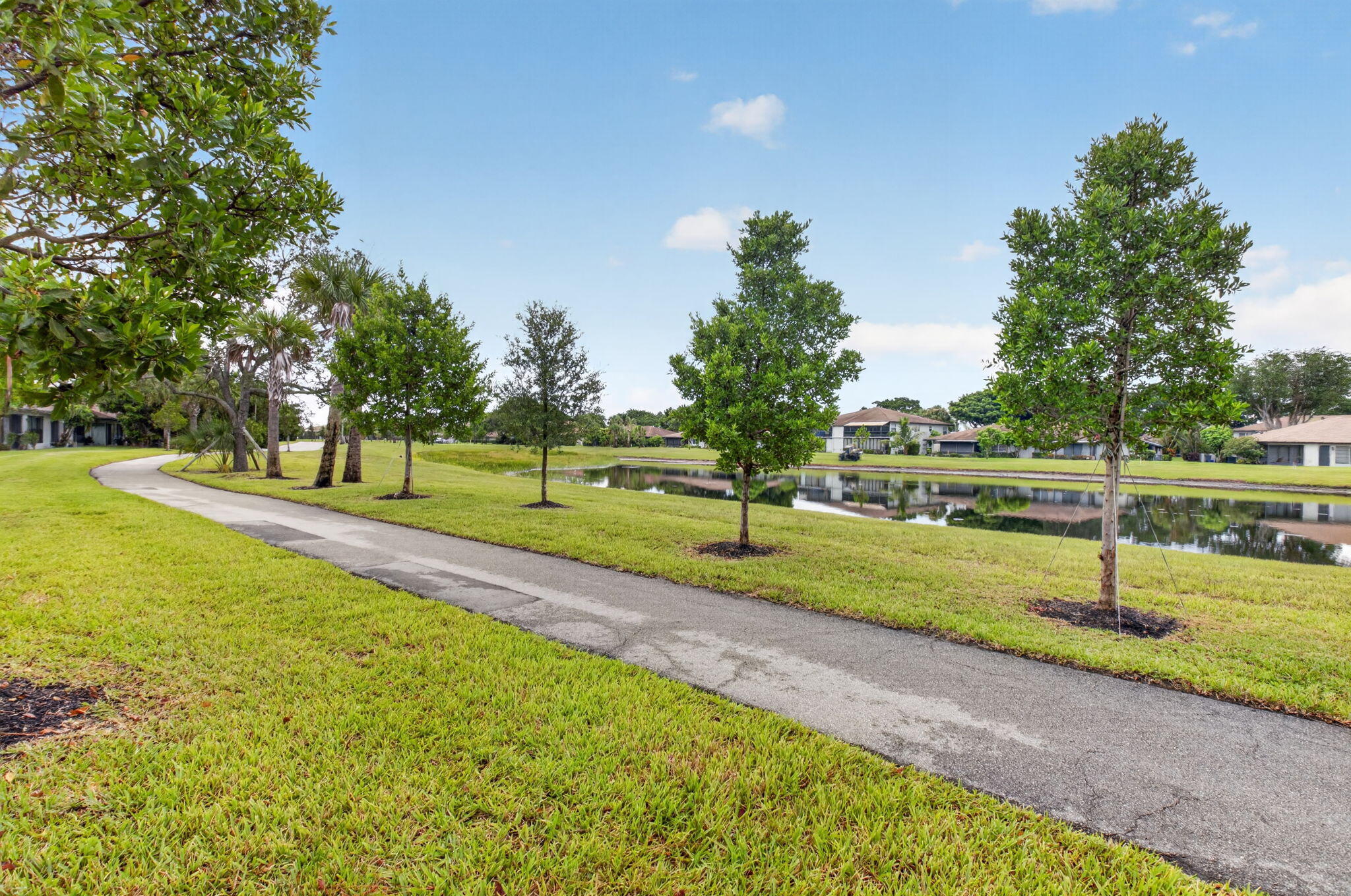 PATHWAY AROUND PALM GREENS