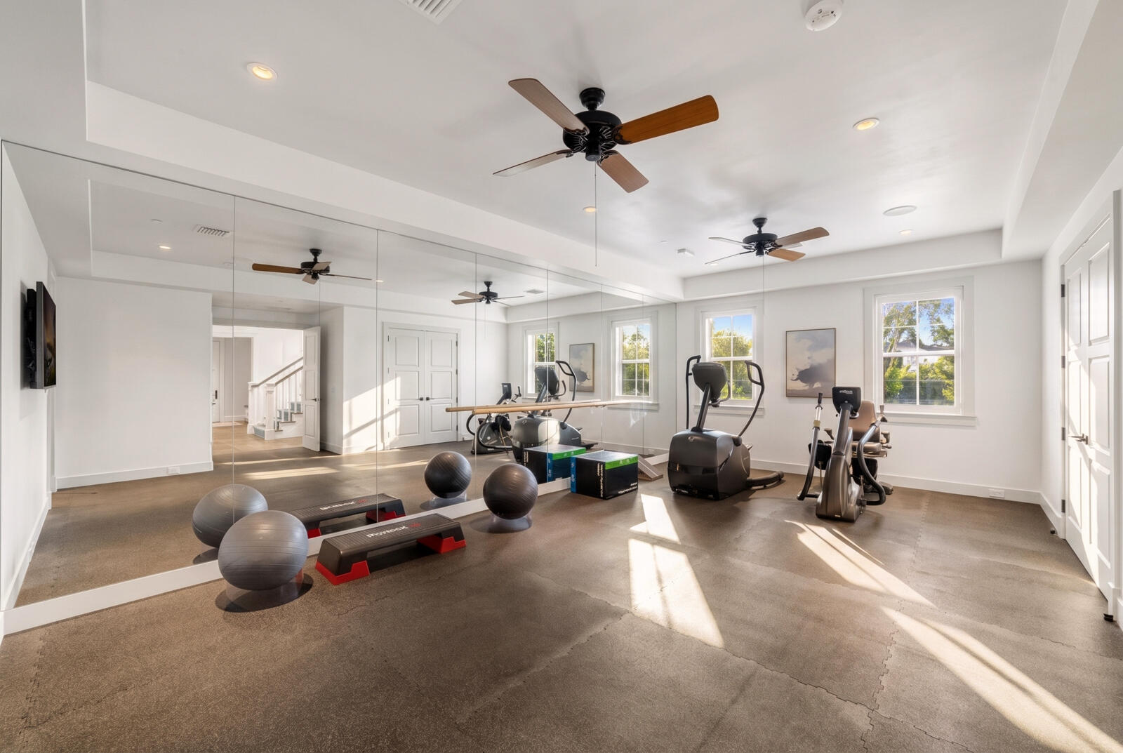 Guest Bedroom / Fitness