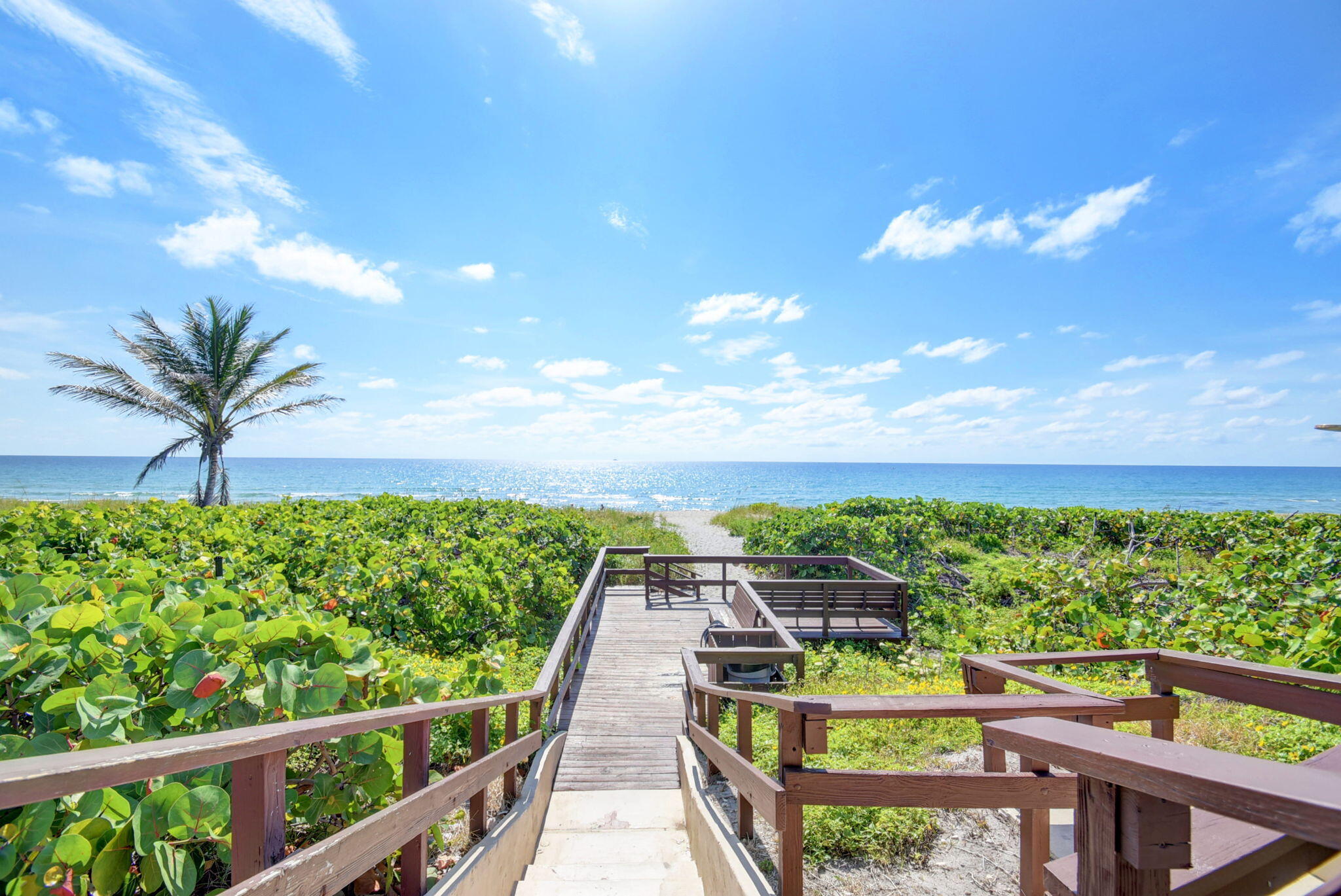 77-web-or-mls-54_san remo (3)