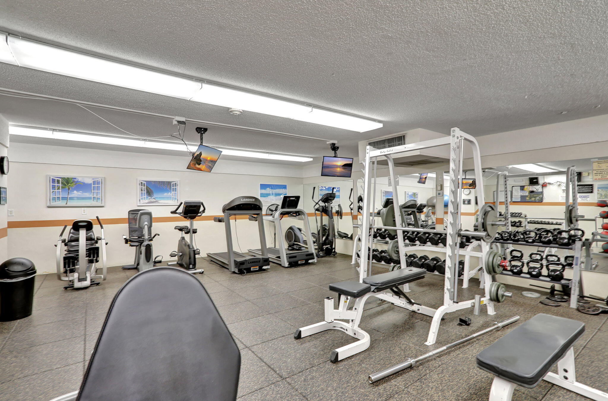 74-web-or-mls-16_22228861
