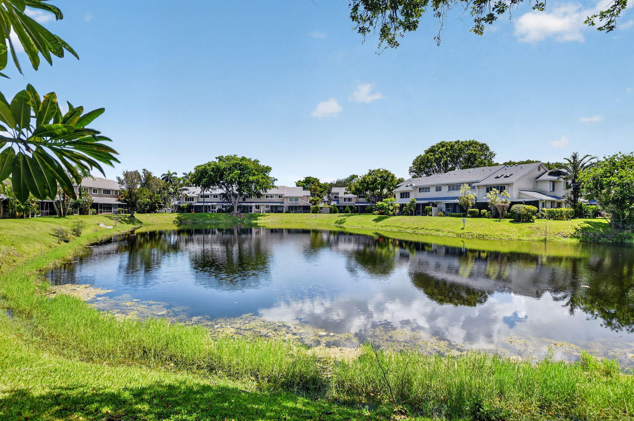Gorgeous Lake View
