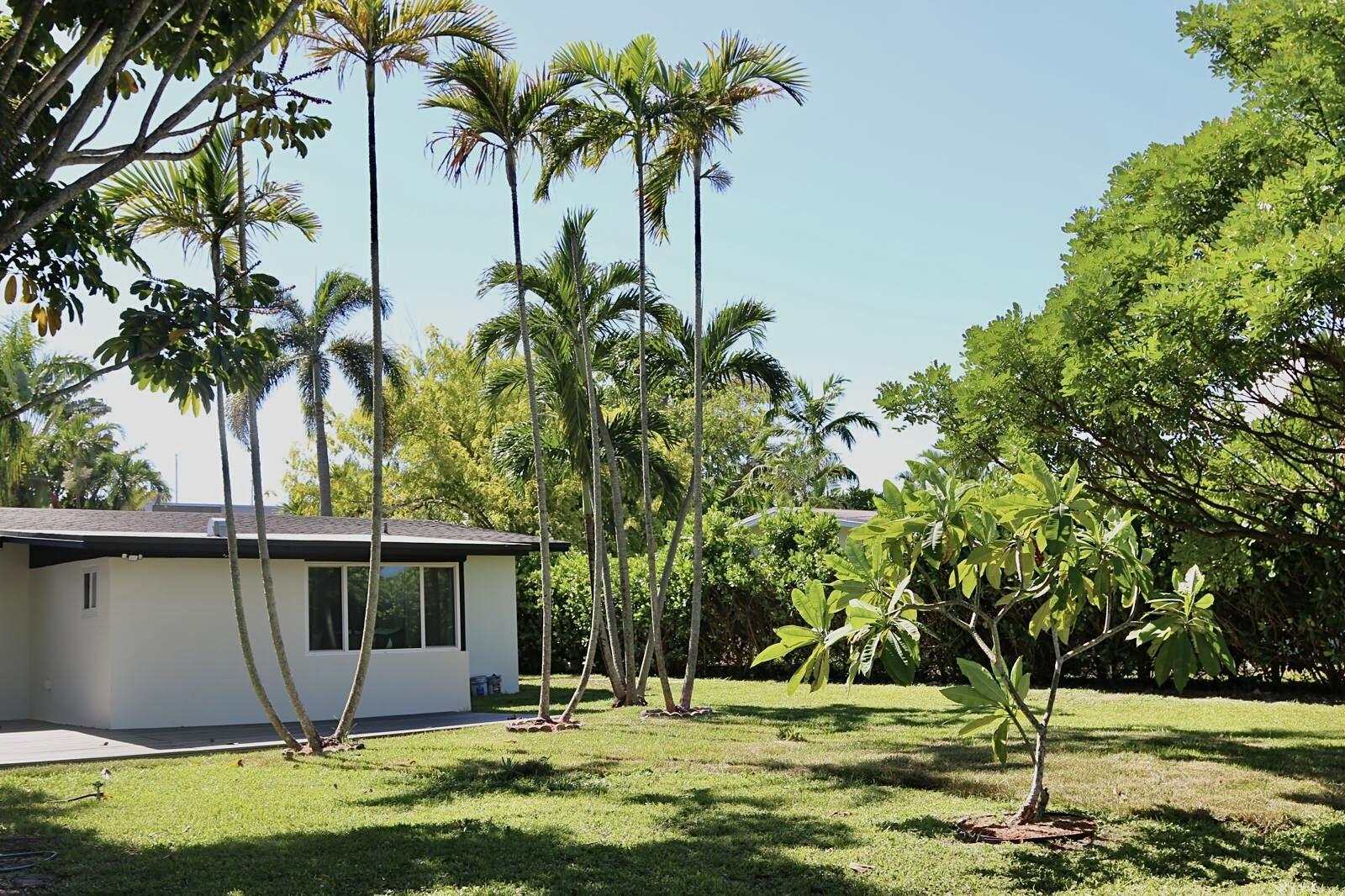 Backyard 2