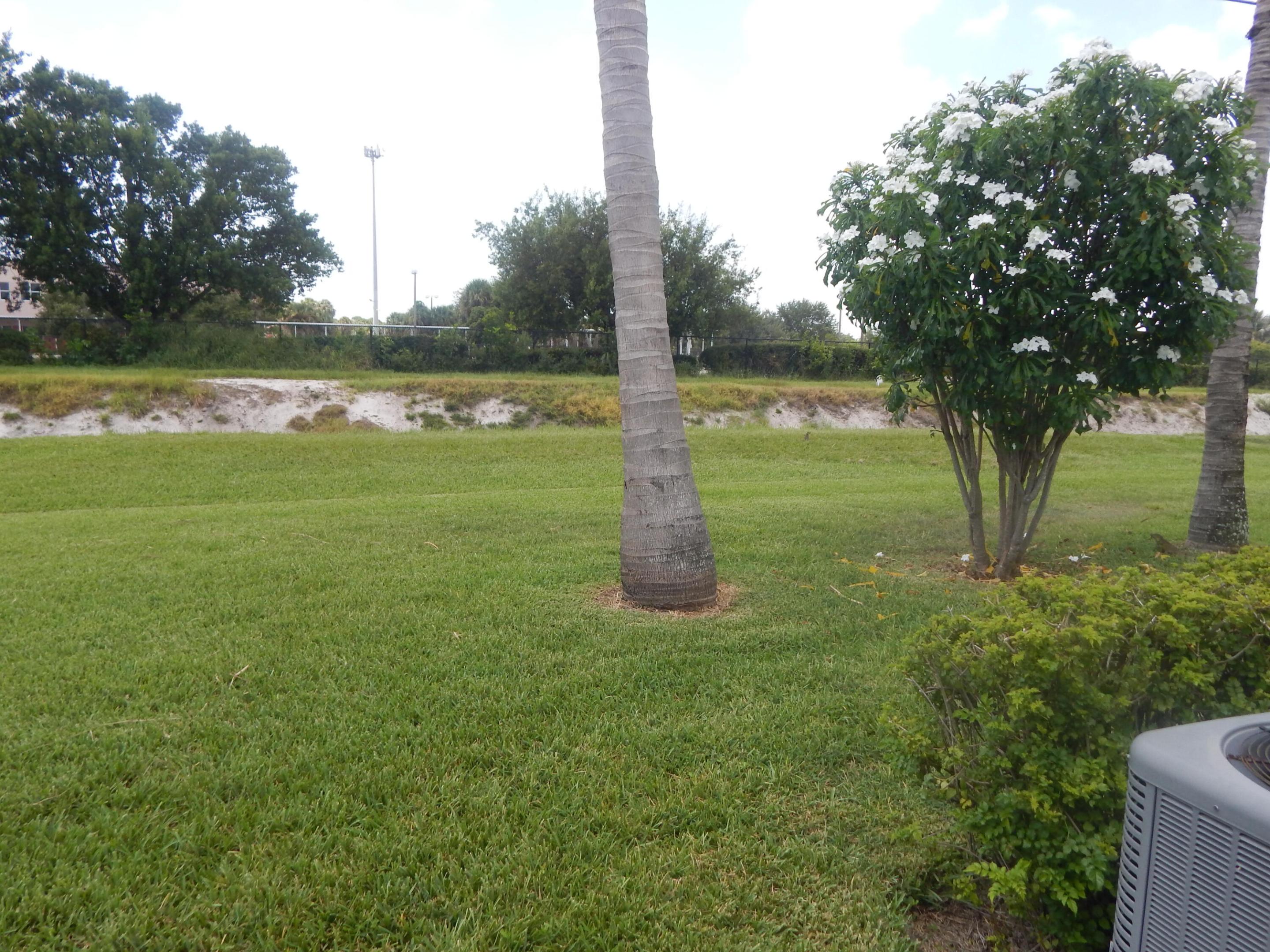 DSCN8510