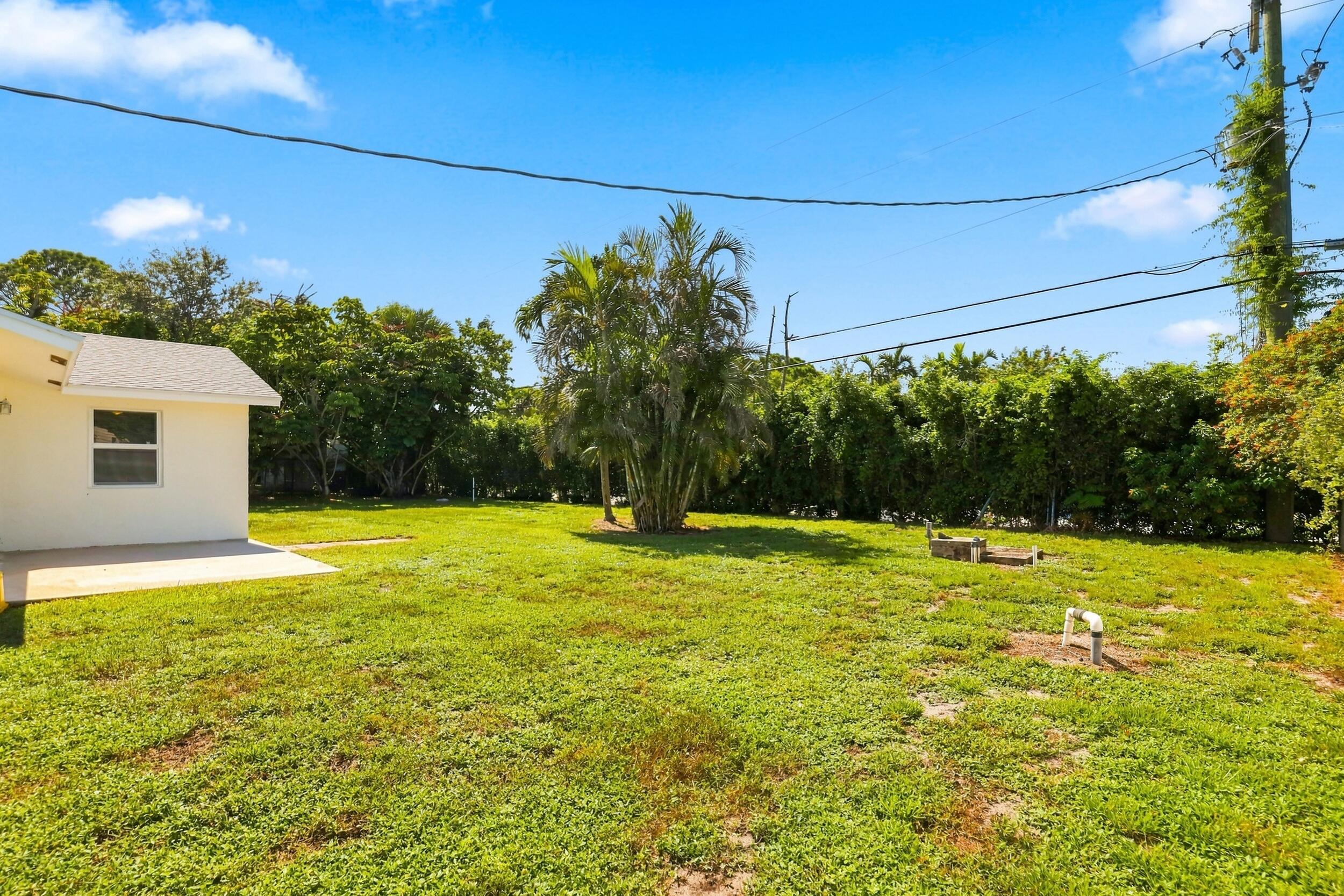 Generous grassy backyard offering plenty of outdoor space and mature landscaping.