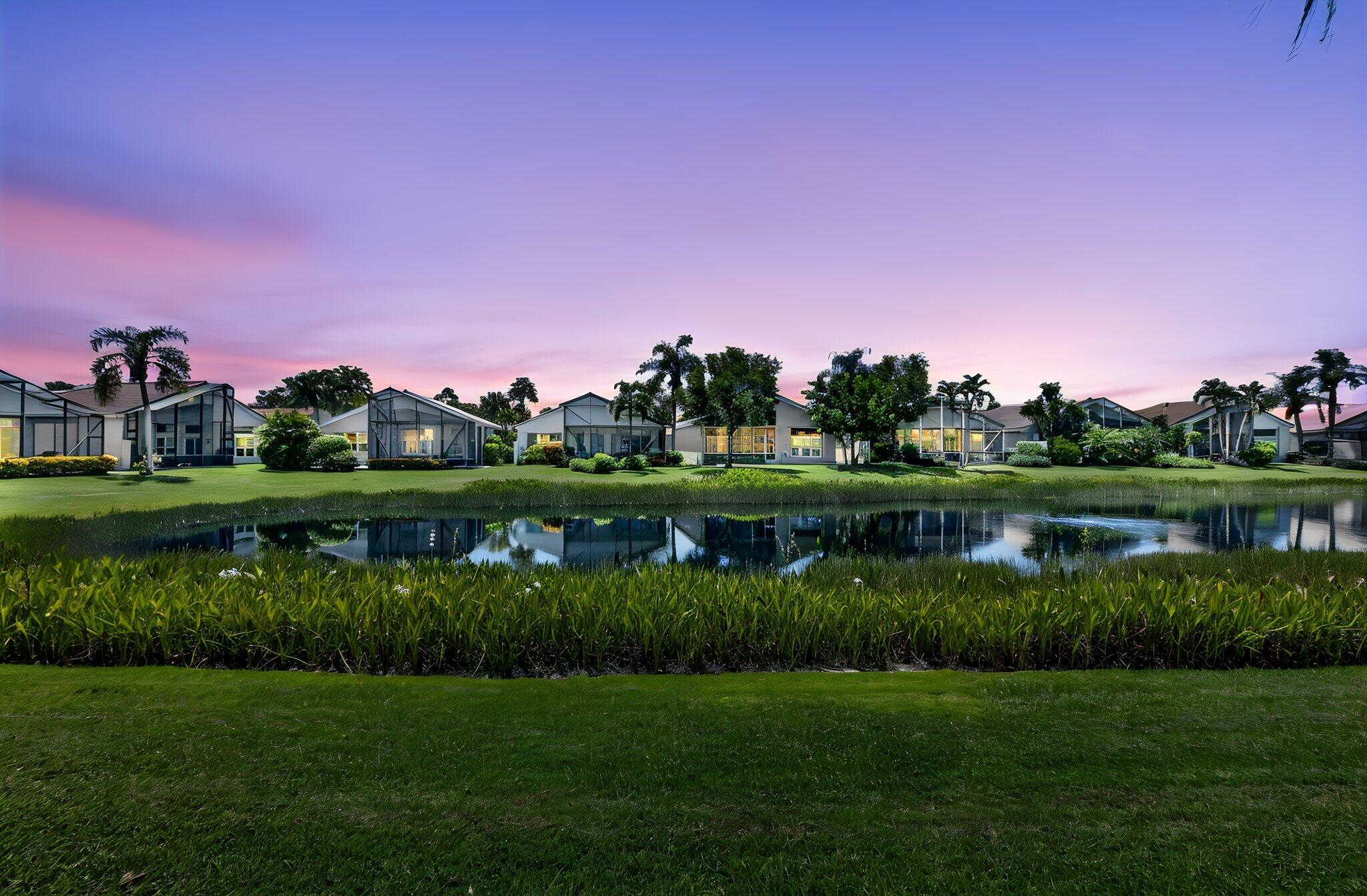 BACKYARD VIEW