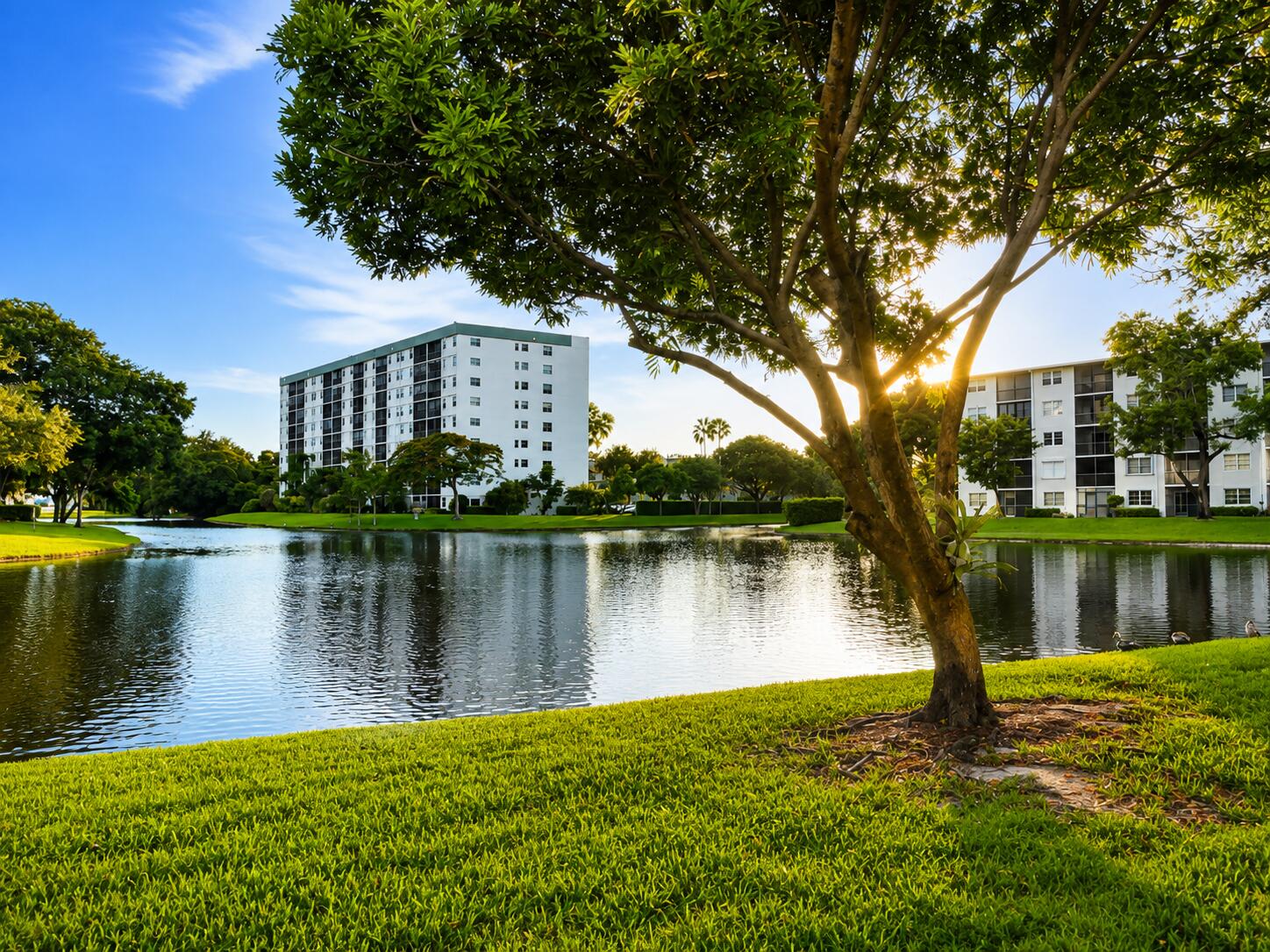 Lake View From Patio