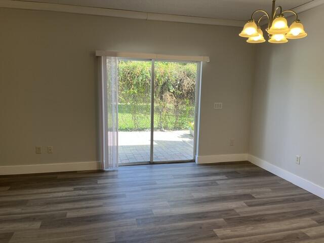 IMG_4523