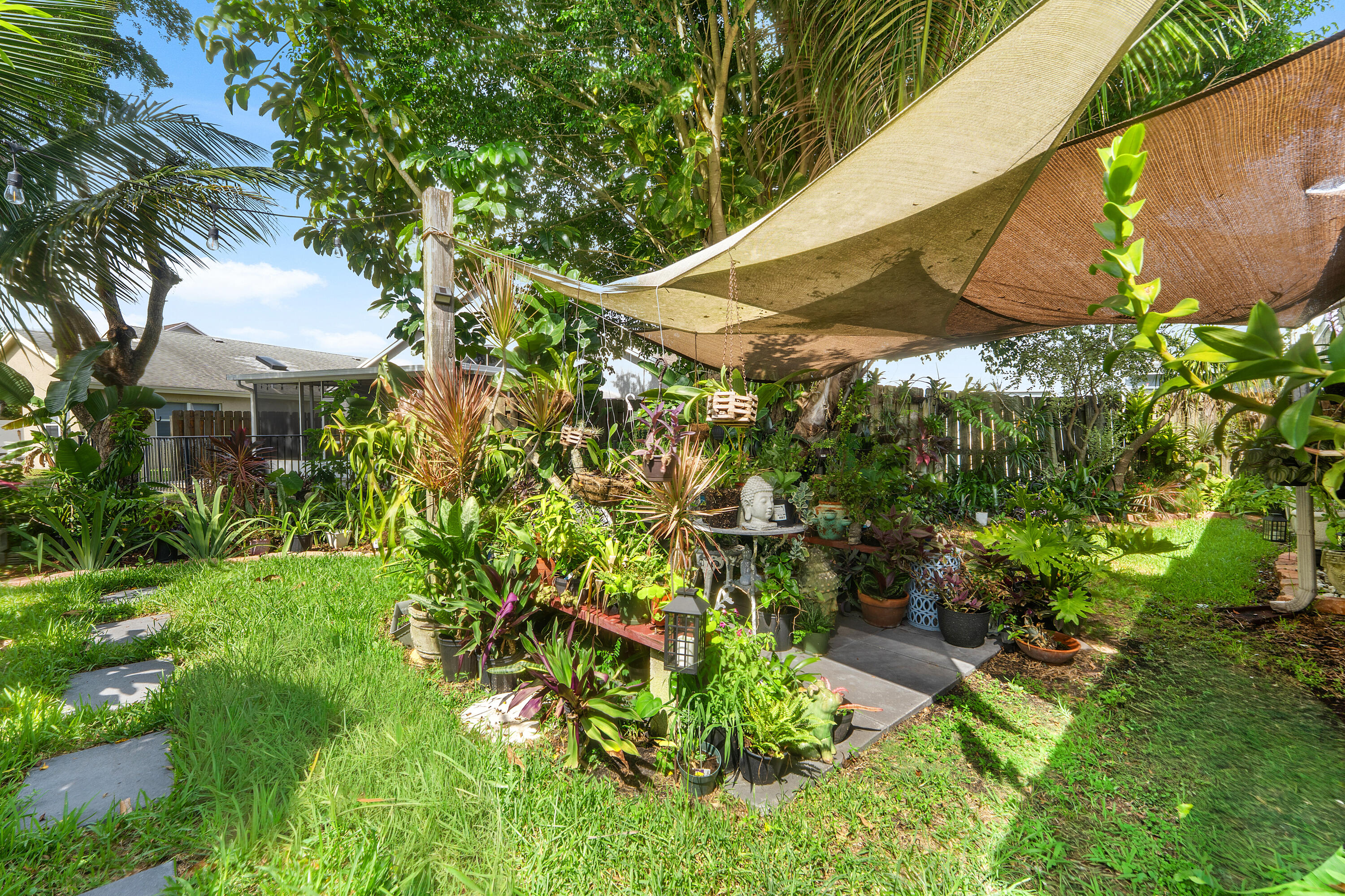 Backyard 4