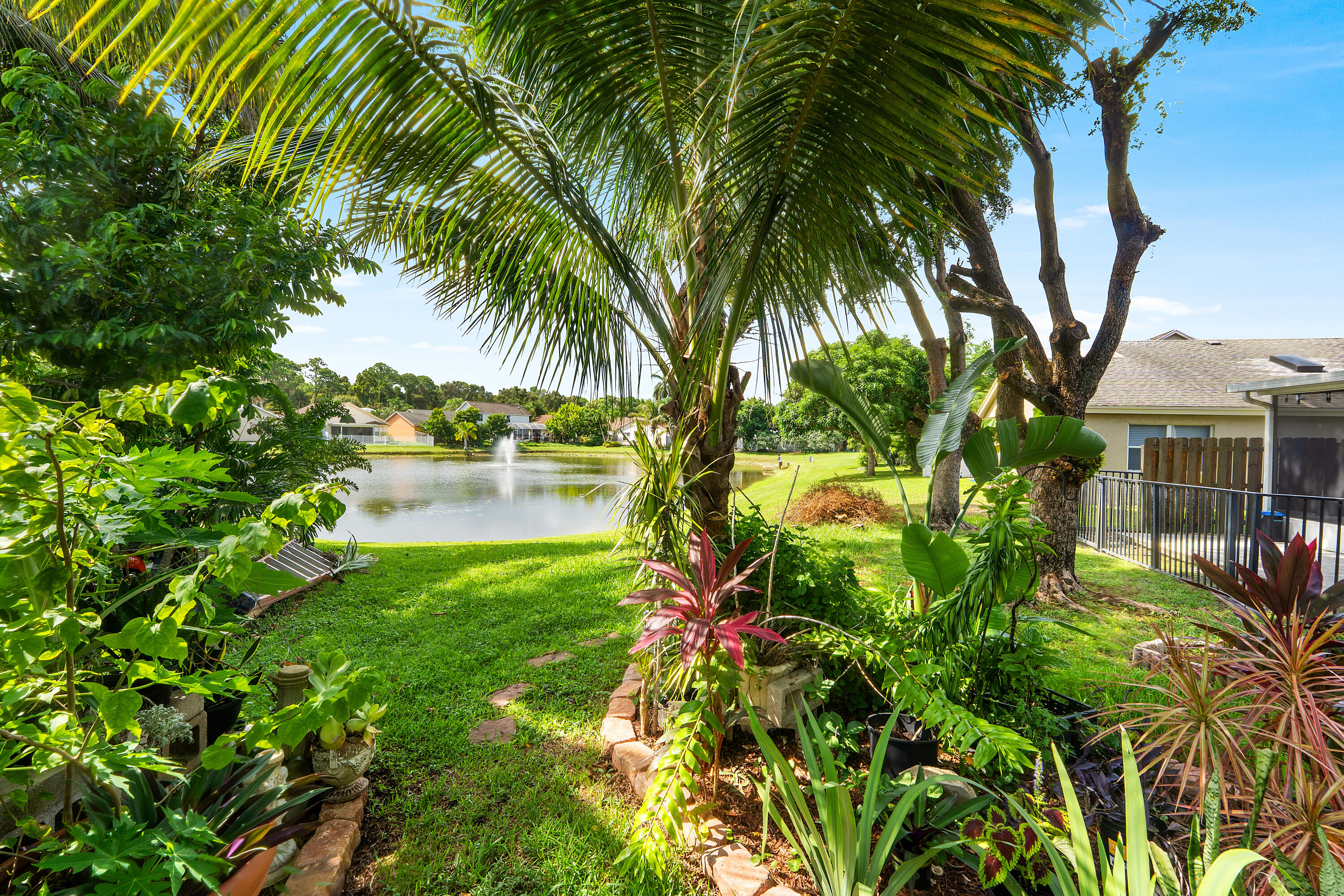 Backyard 6