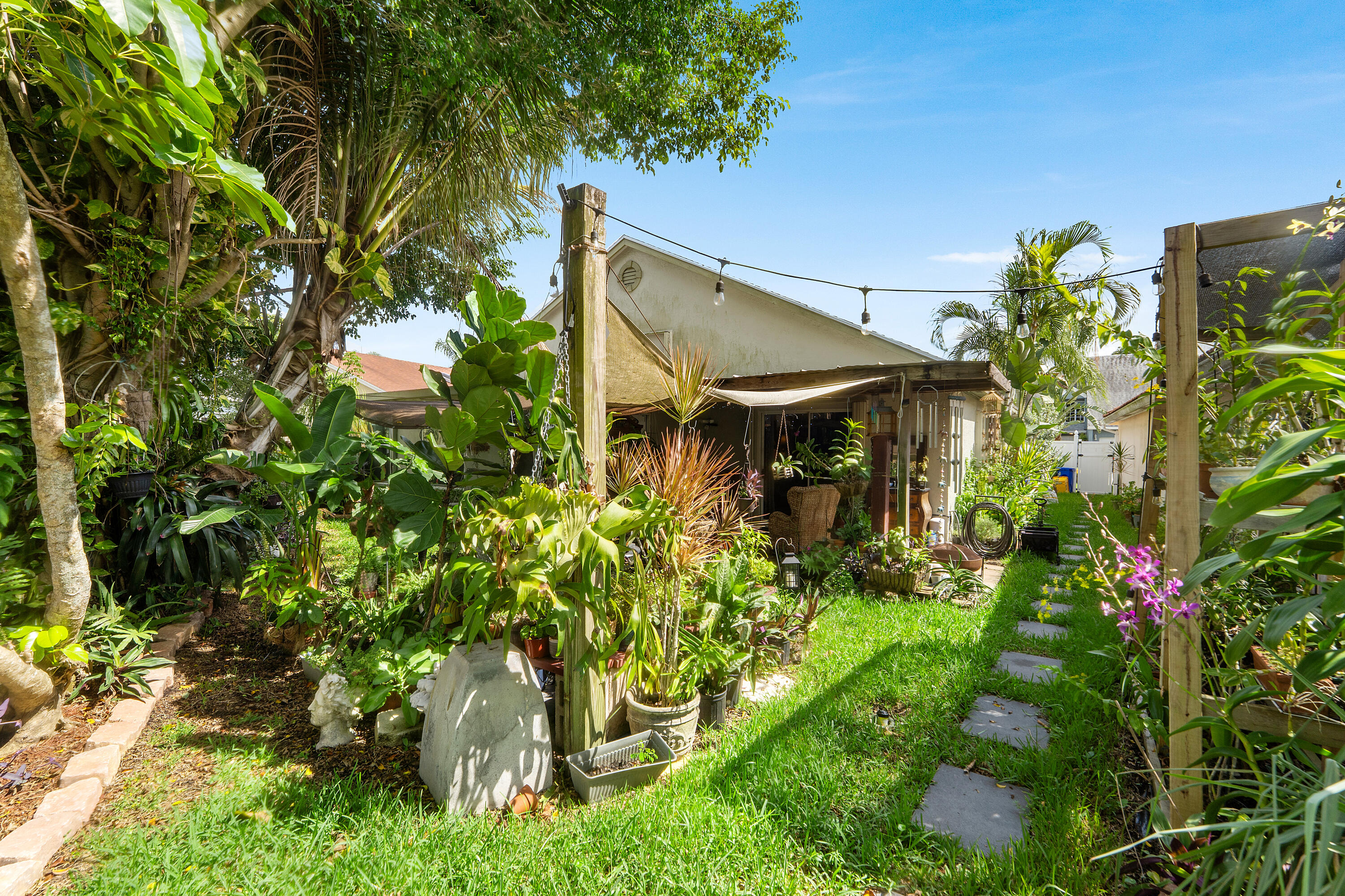Backyard 5