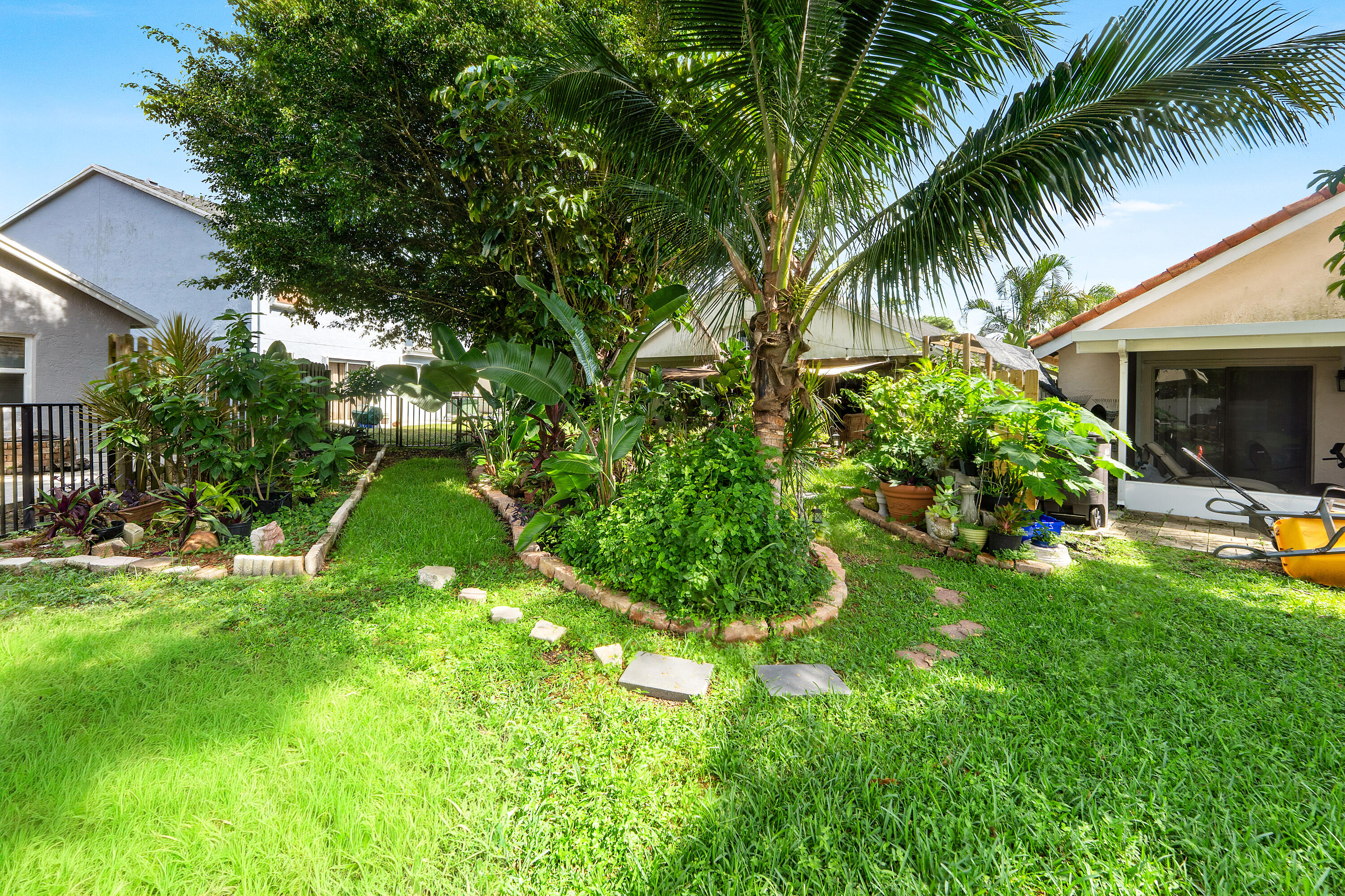 Backyard 7