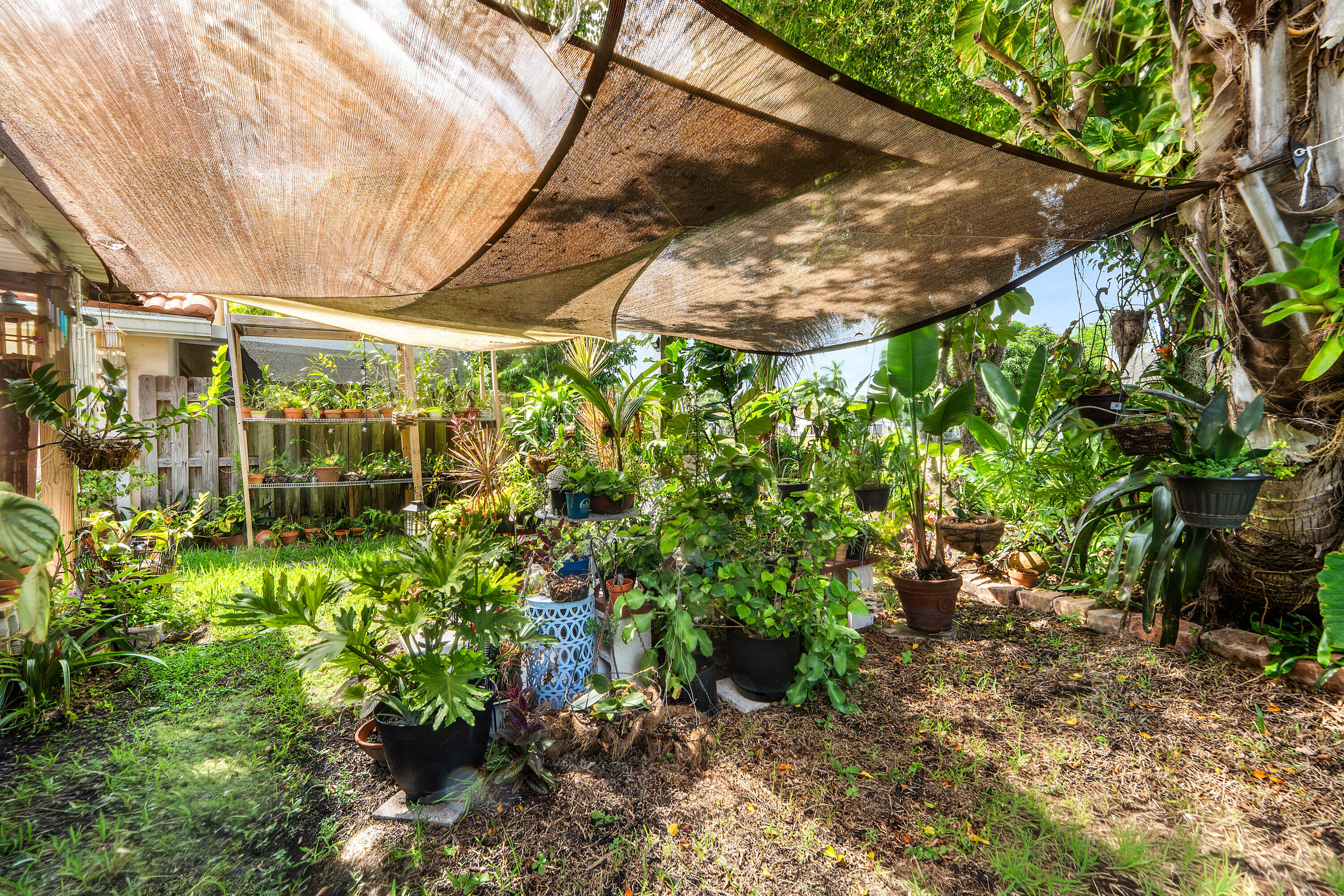 Backyard 3