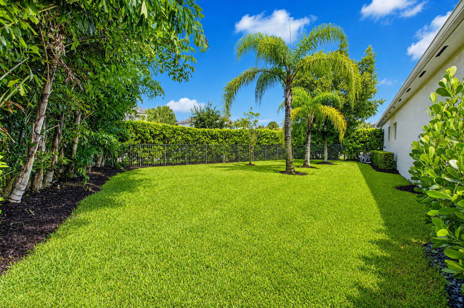 Side Yard
