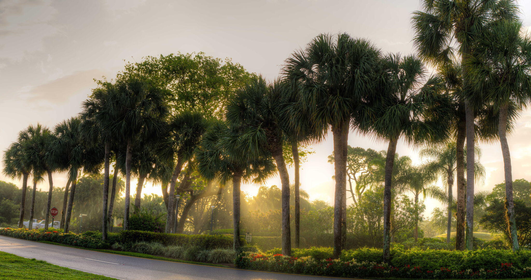 52-web-or-mls-Boca West CC Golf c4-road