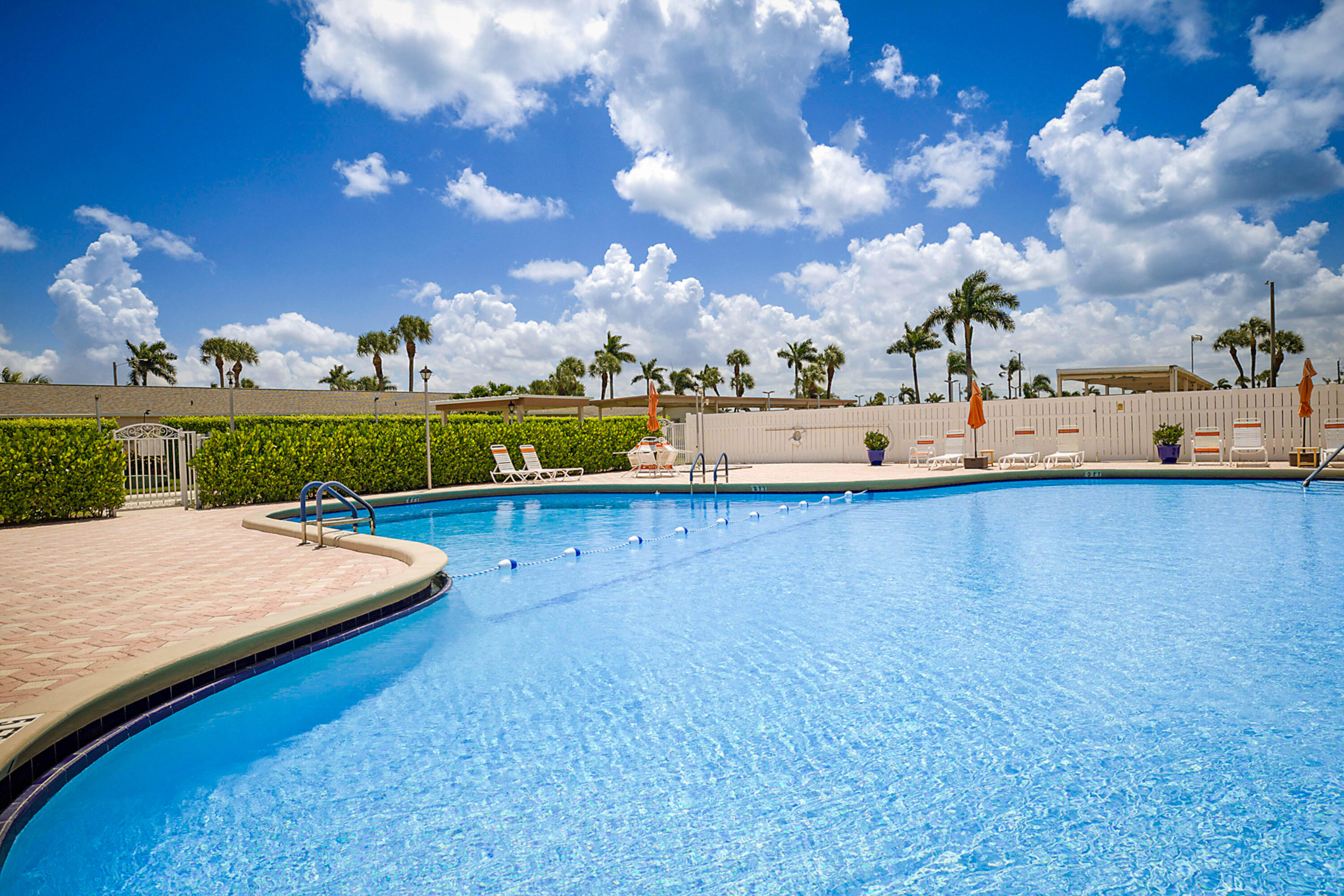 Resort-style pool with a curved edge, surrounded by a paver deck and privacy hedging