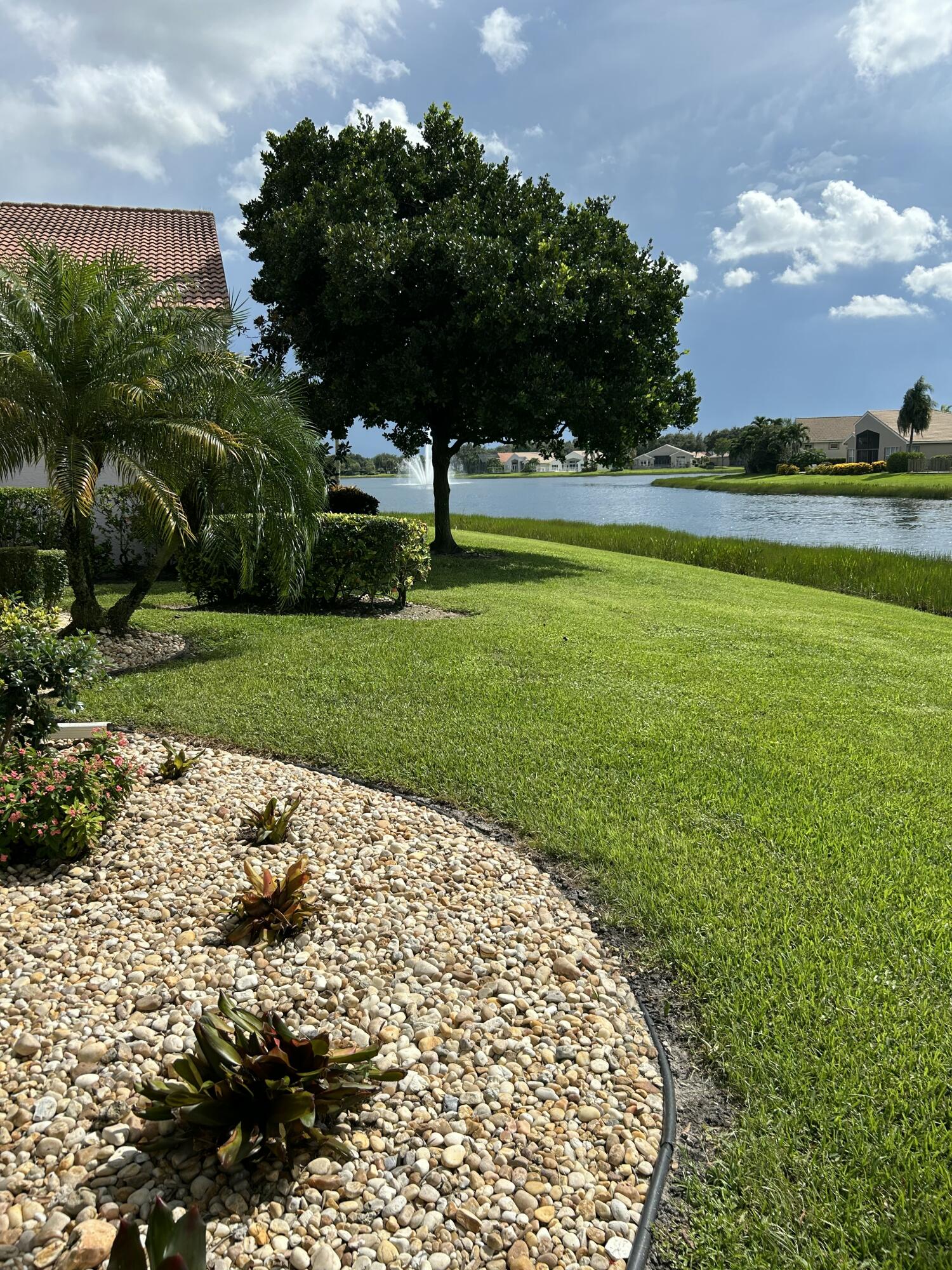 Yard view