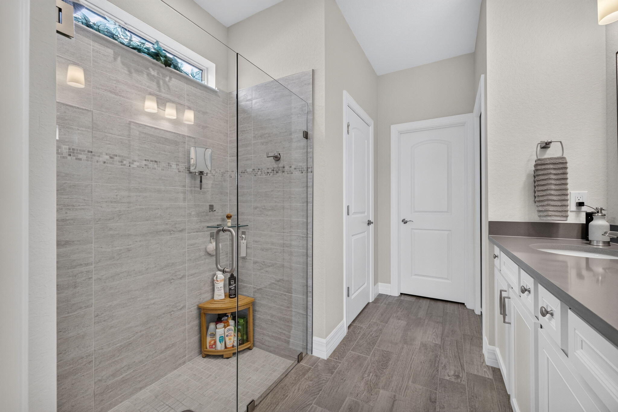 Custom Primary Shower