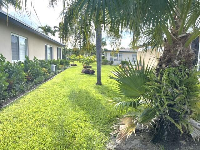 Back Yard view