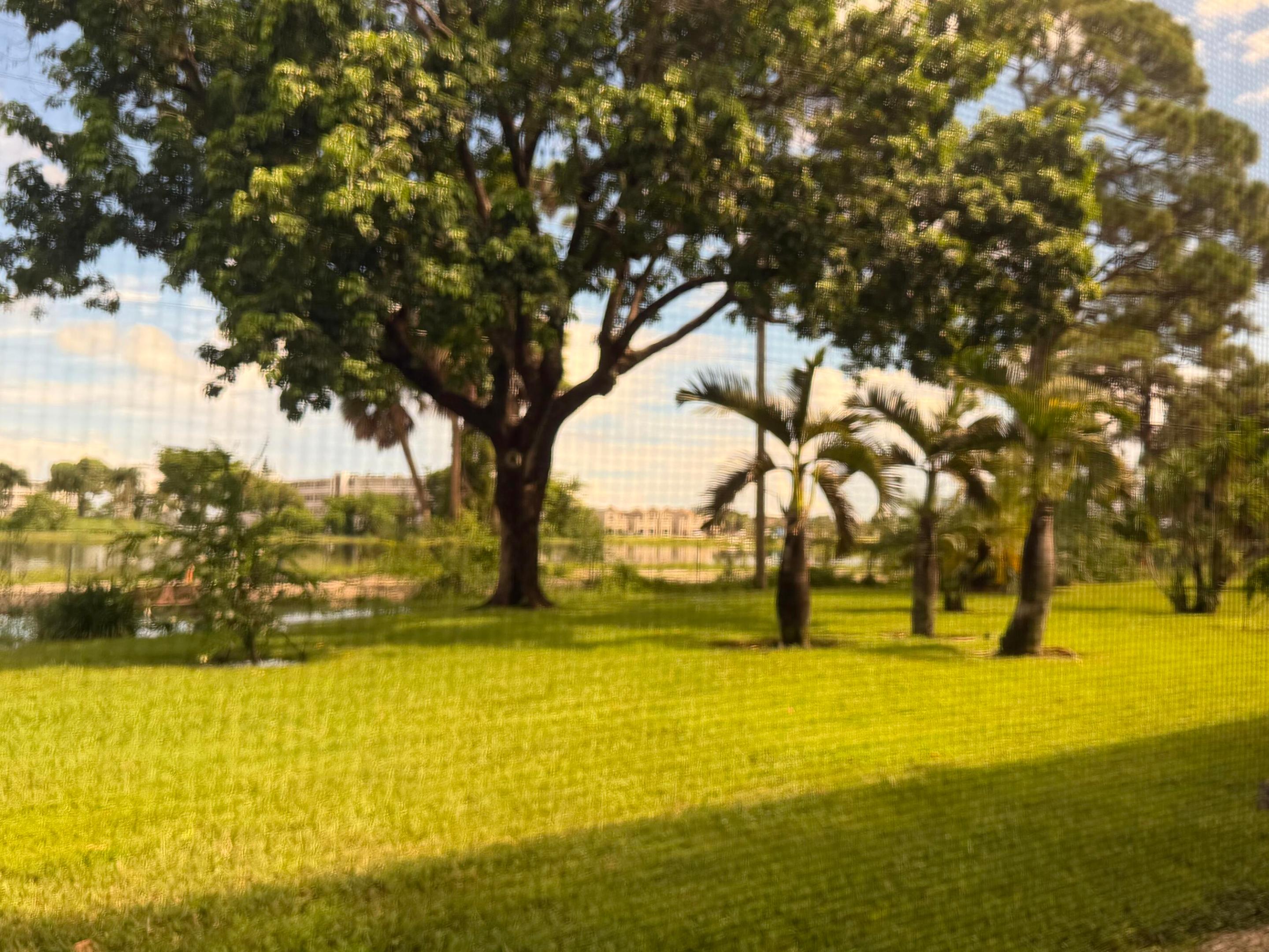 Patio view