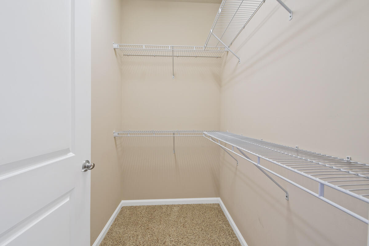 Shelved Primary Suite Closet