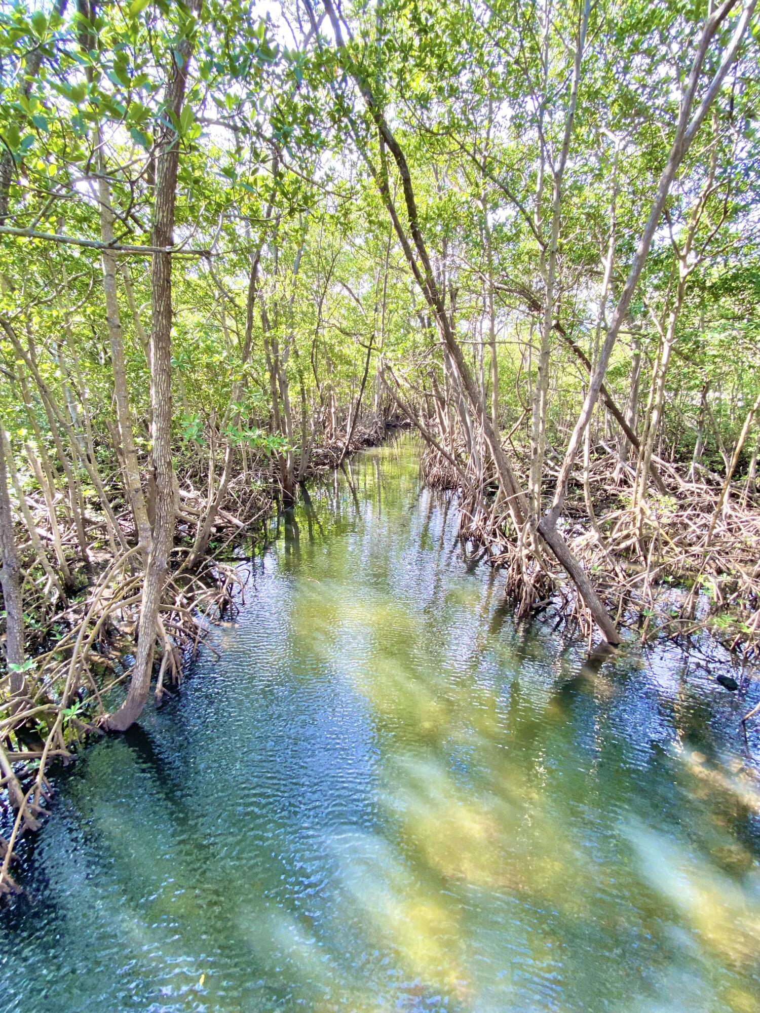Lake Wyman Park