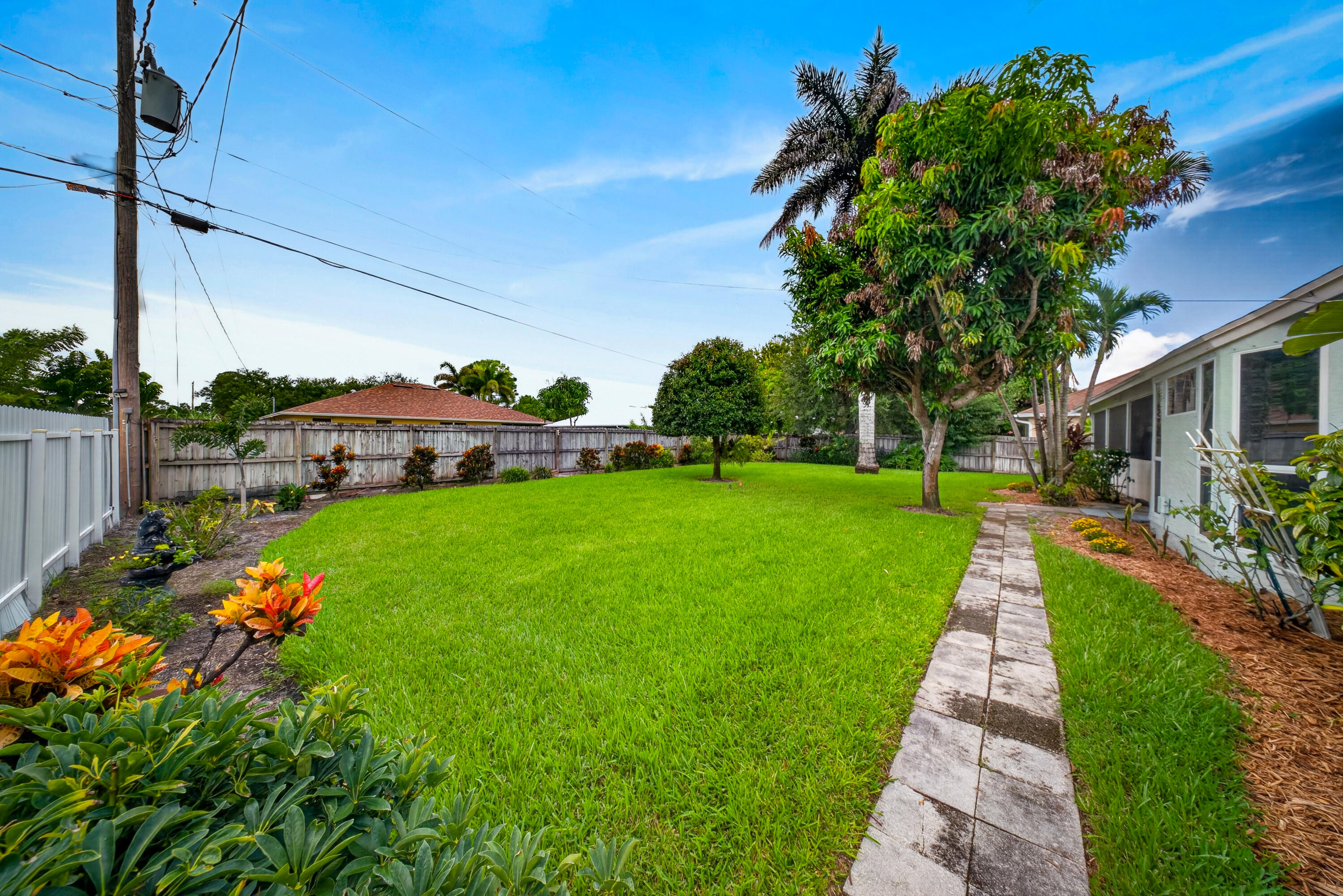 Back yard