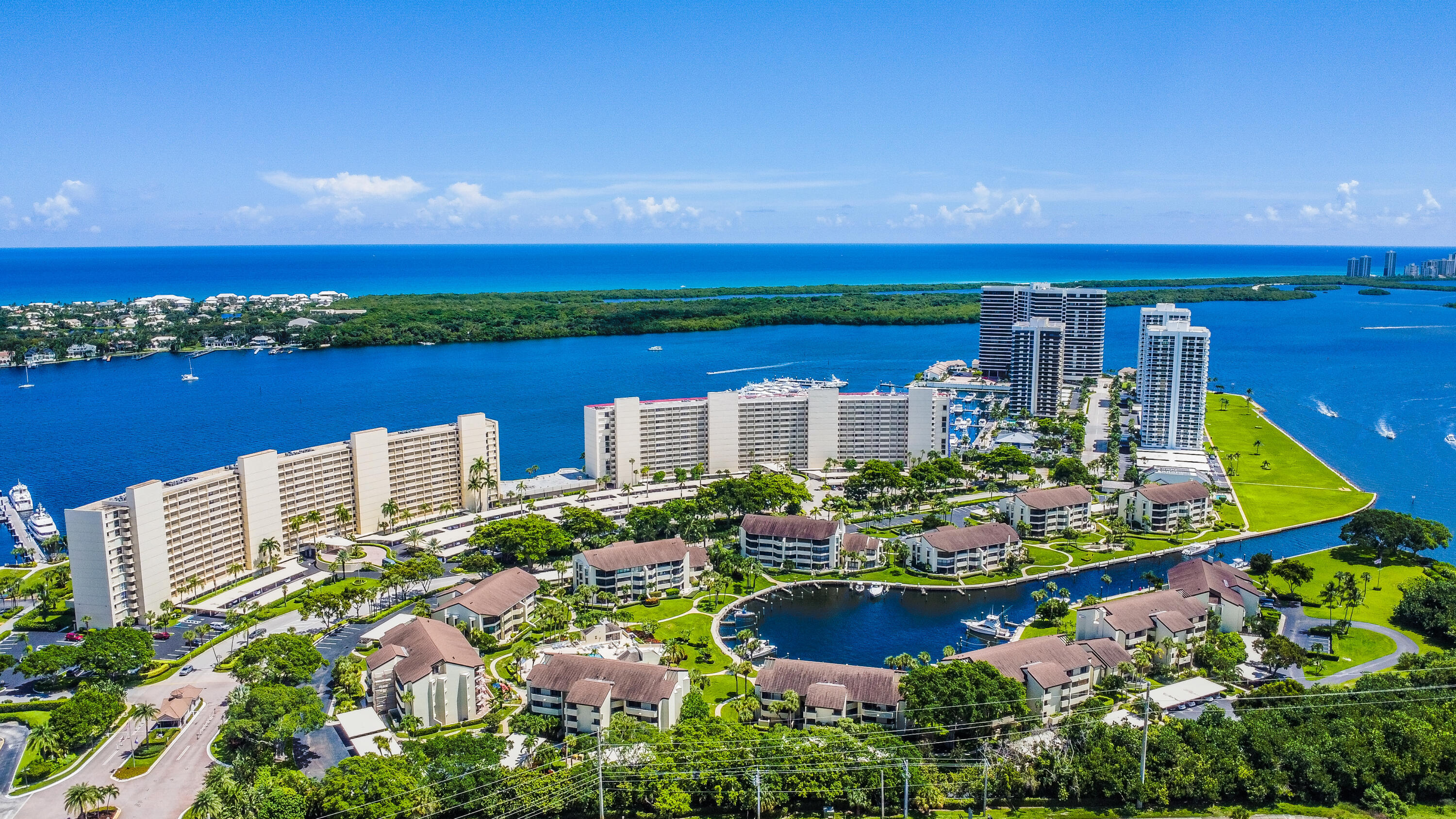 Old Port Cove Aerial