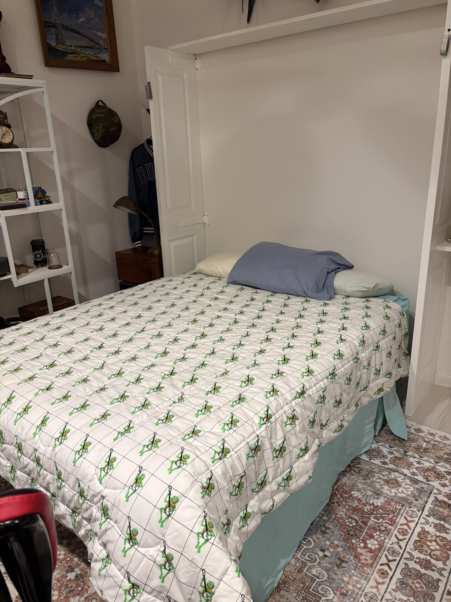 Murphy Bed Opened