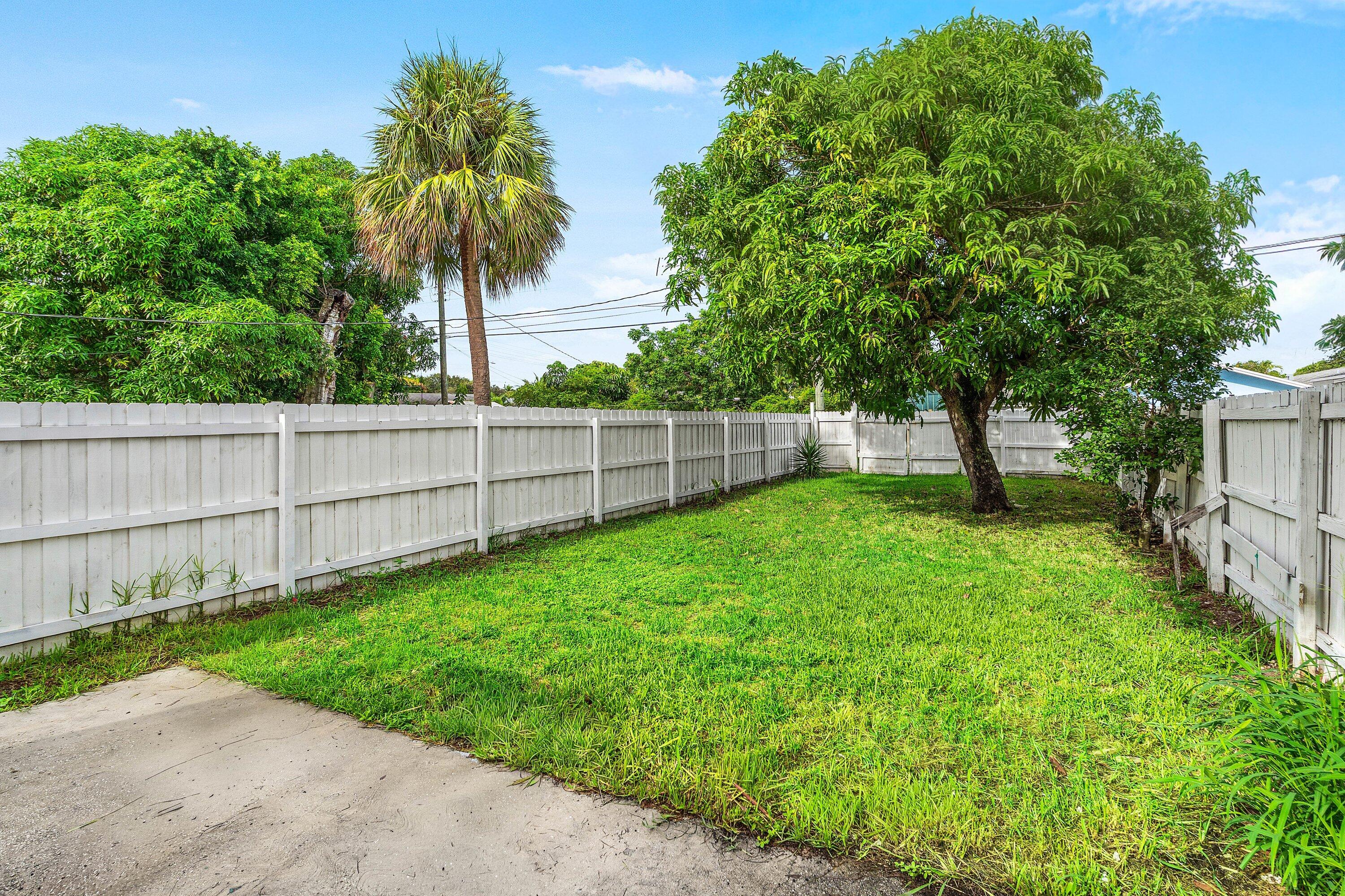 Spacious Backyard
