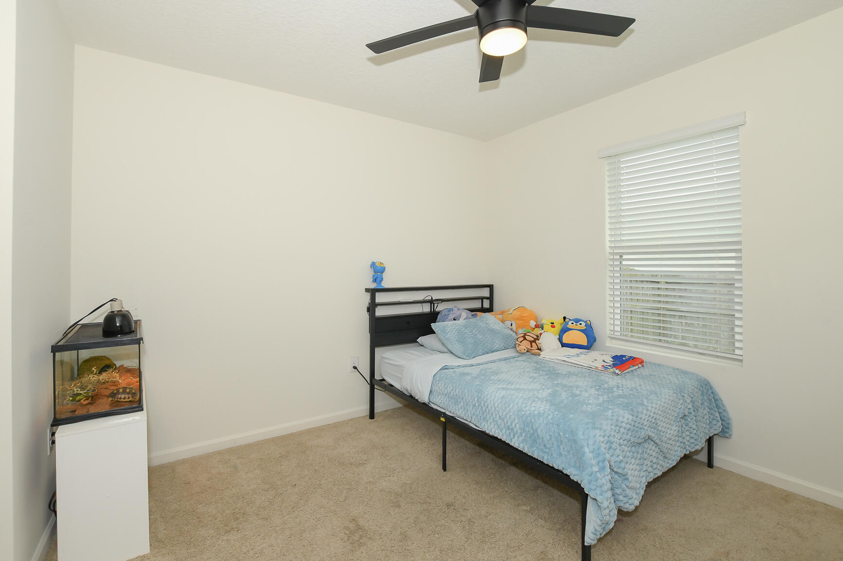 carpet and fan in in bedroom