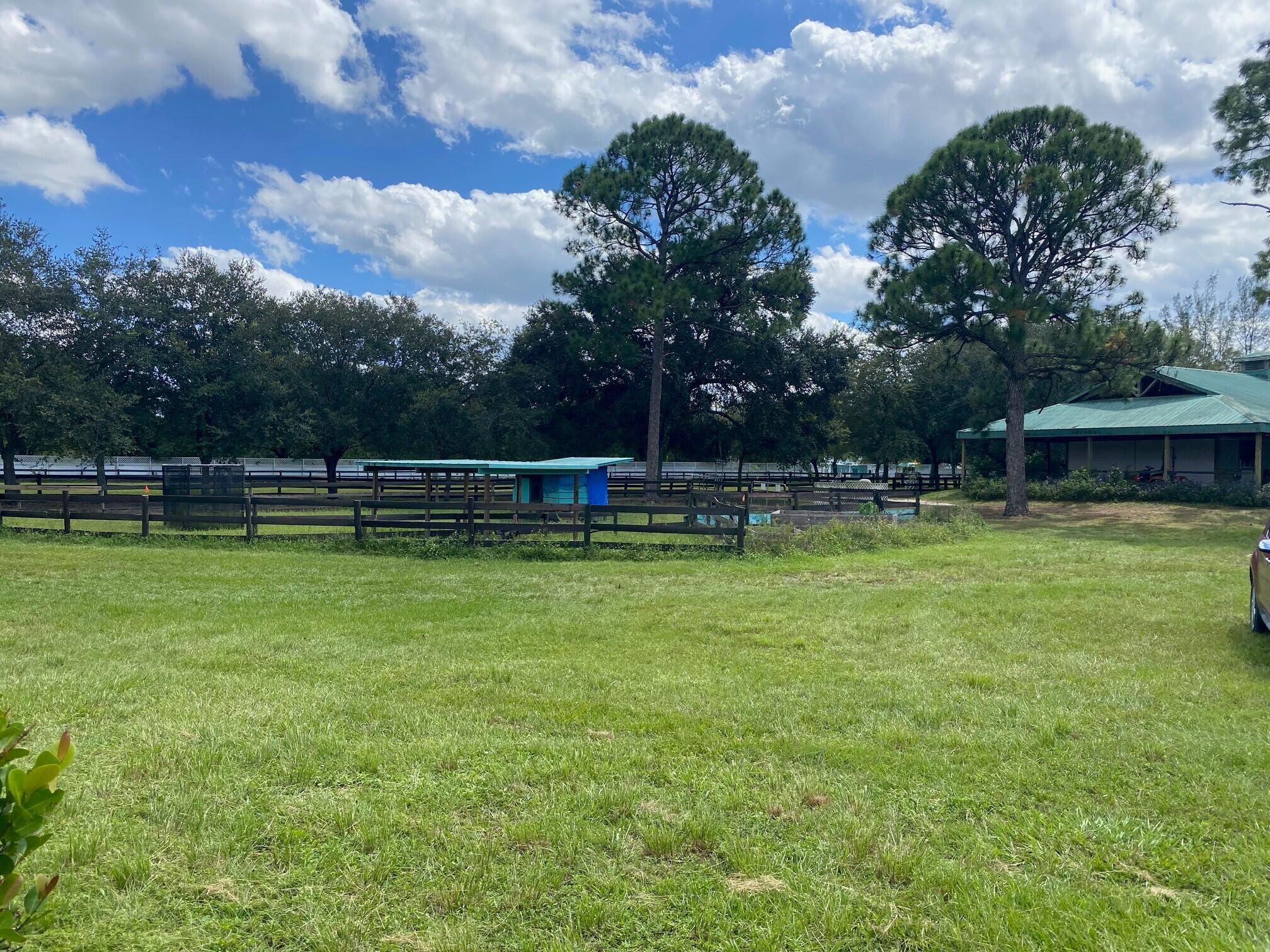 Outside Oversized Arena, View from Cottage