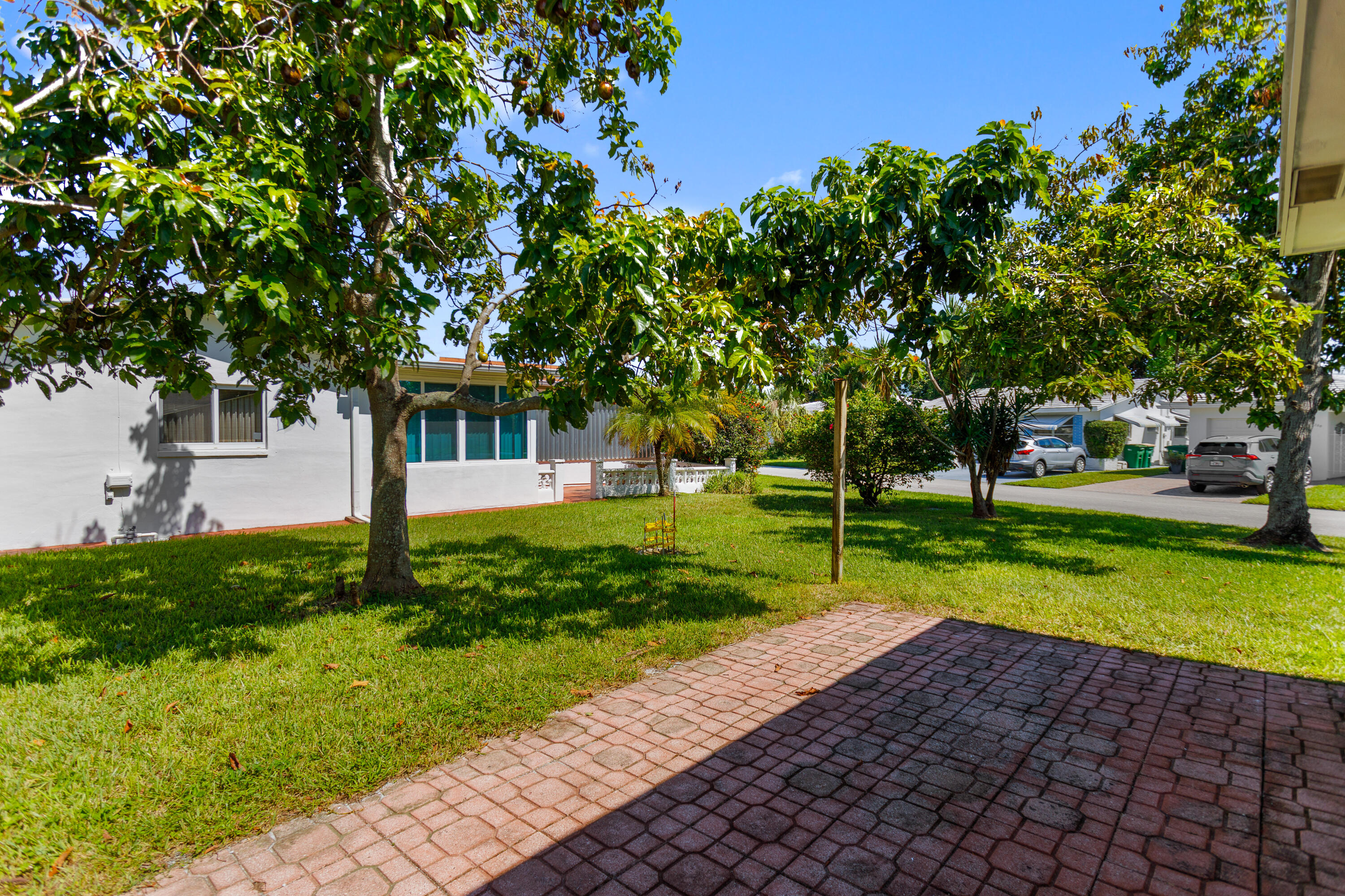 Yard