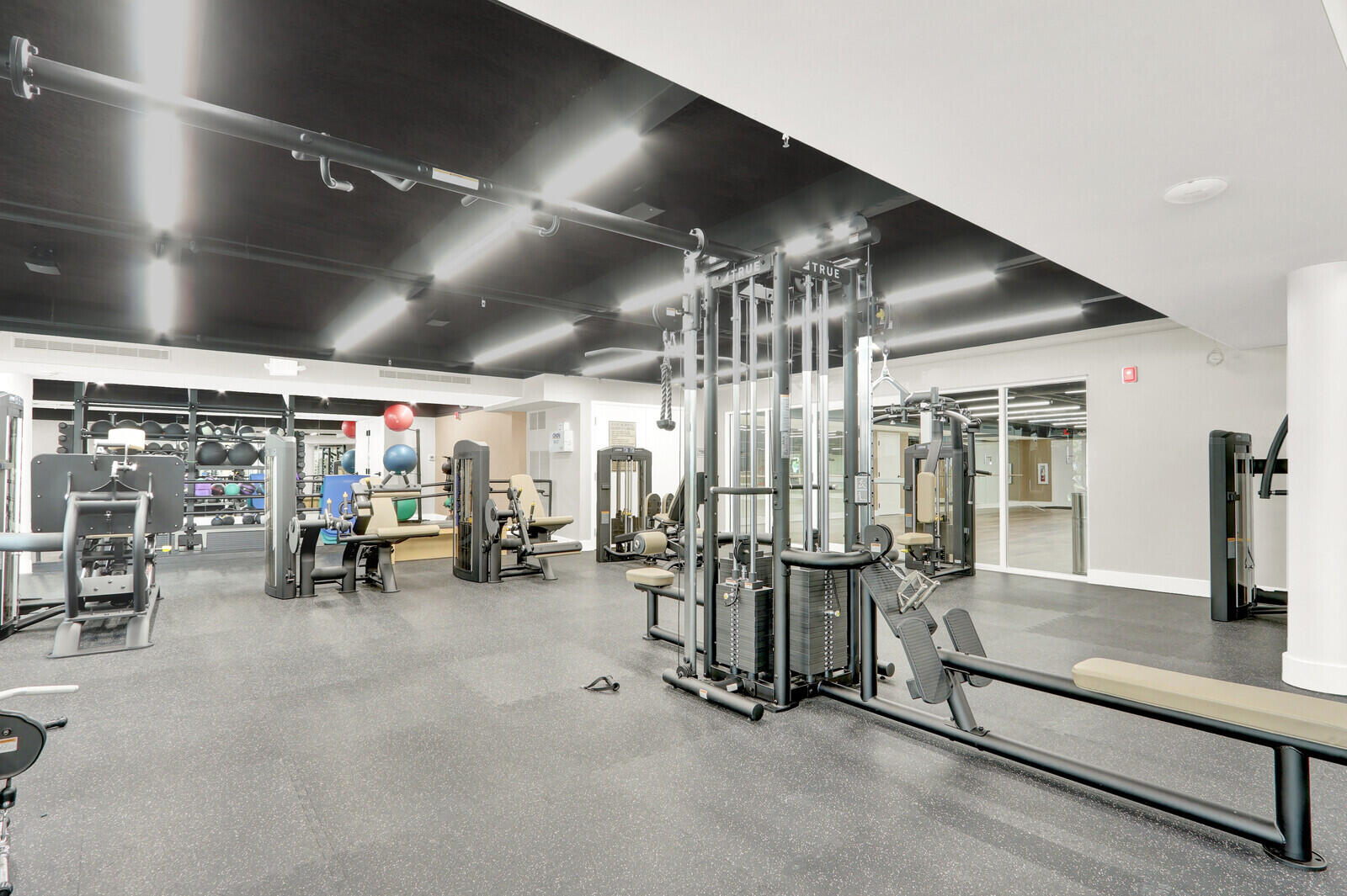 Club Fitness