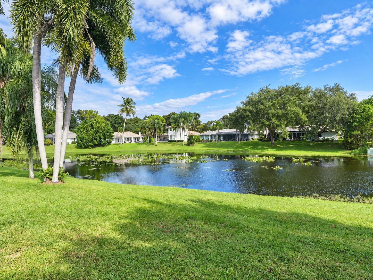 Lakefront View