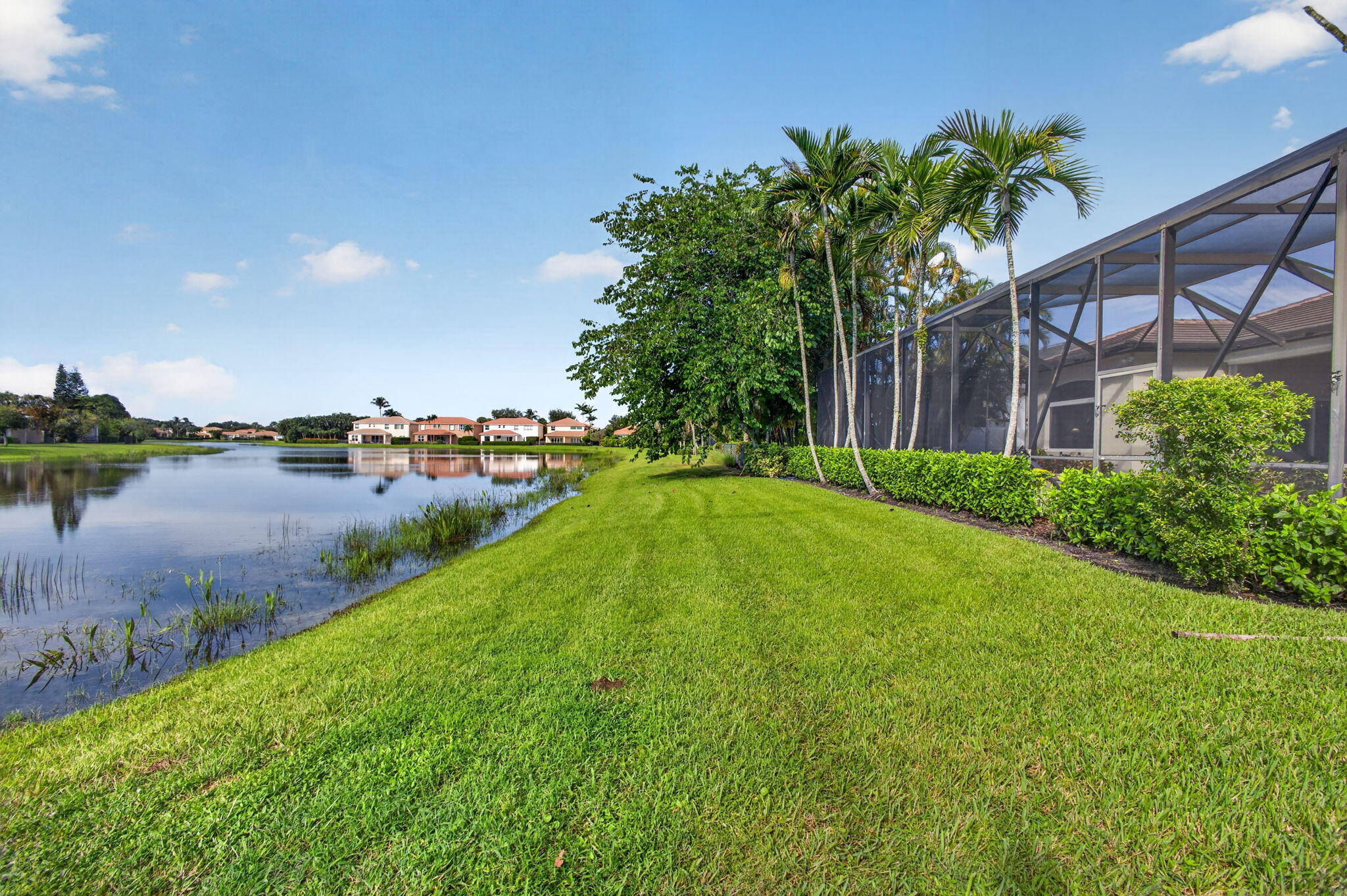 73-web-or-mls-5D1A9537