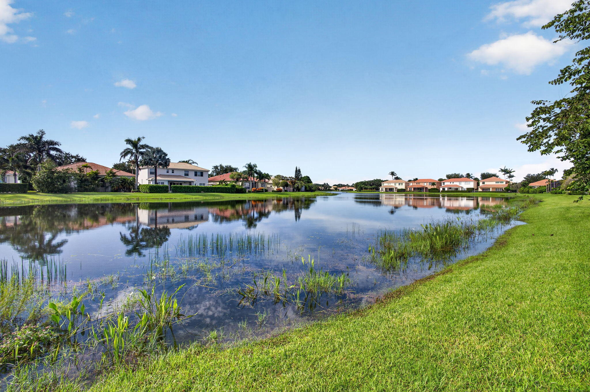 74-web-or-mls-5D1A9540