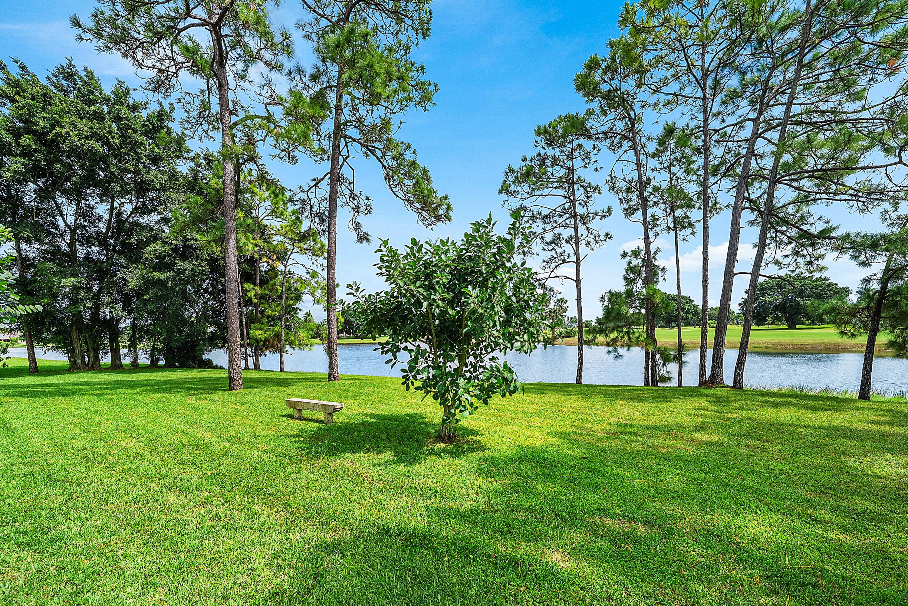 Over an Acre of Land