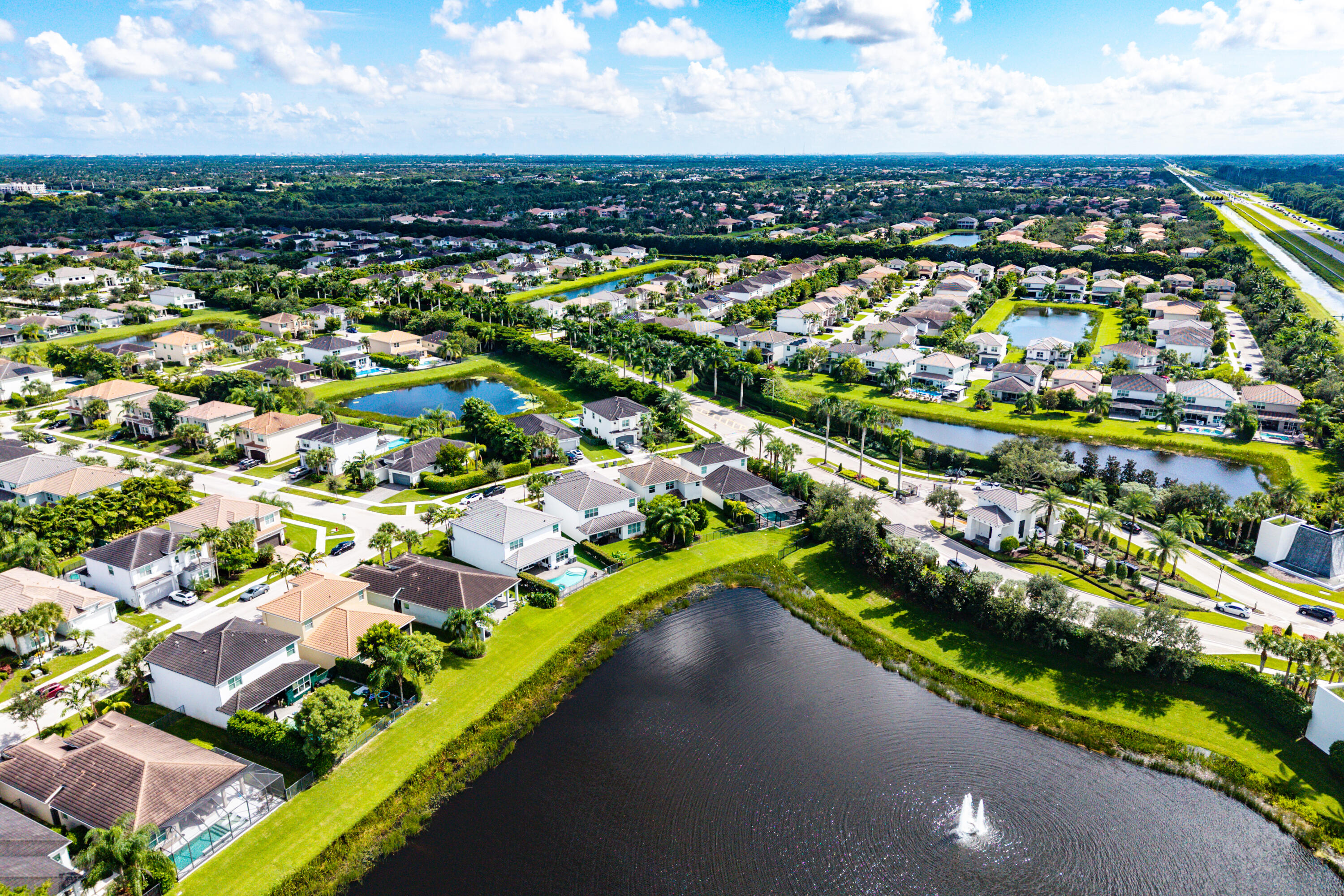 Aerial View - Home and Neighborhood