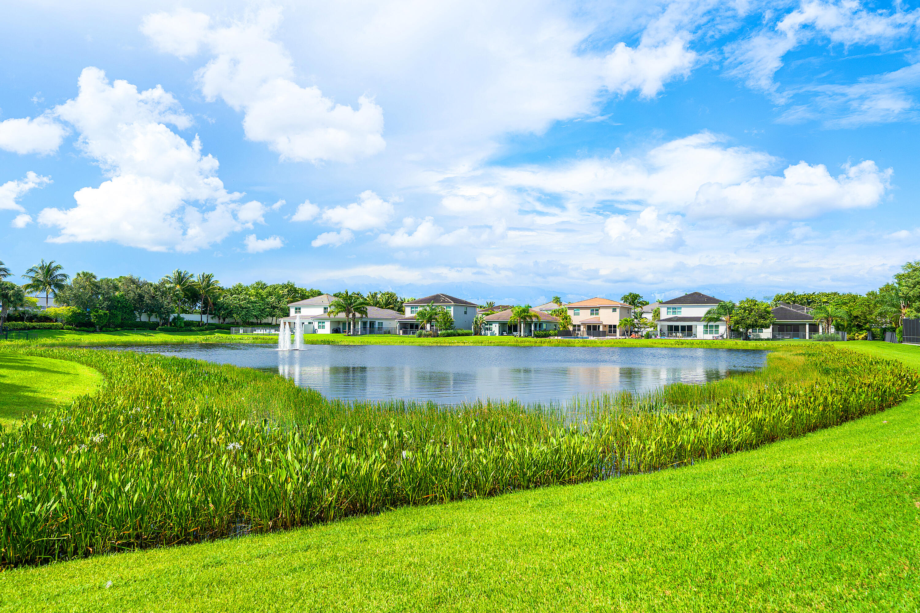 Waterfront View