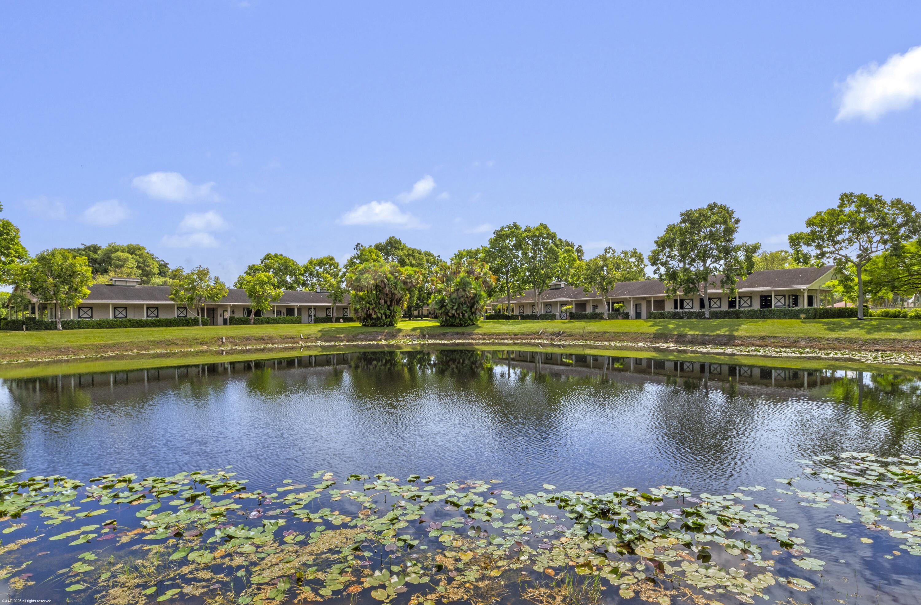 Pond