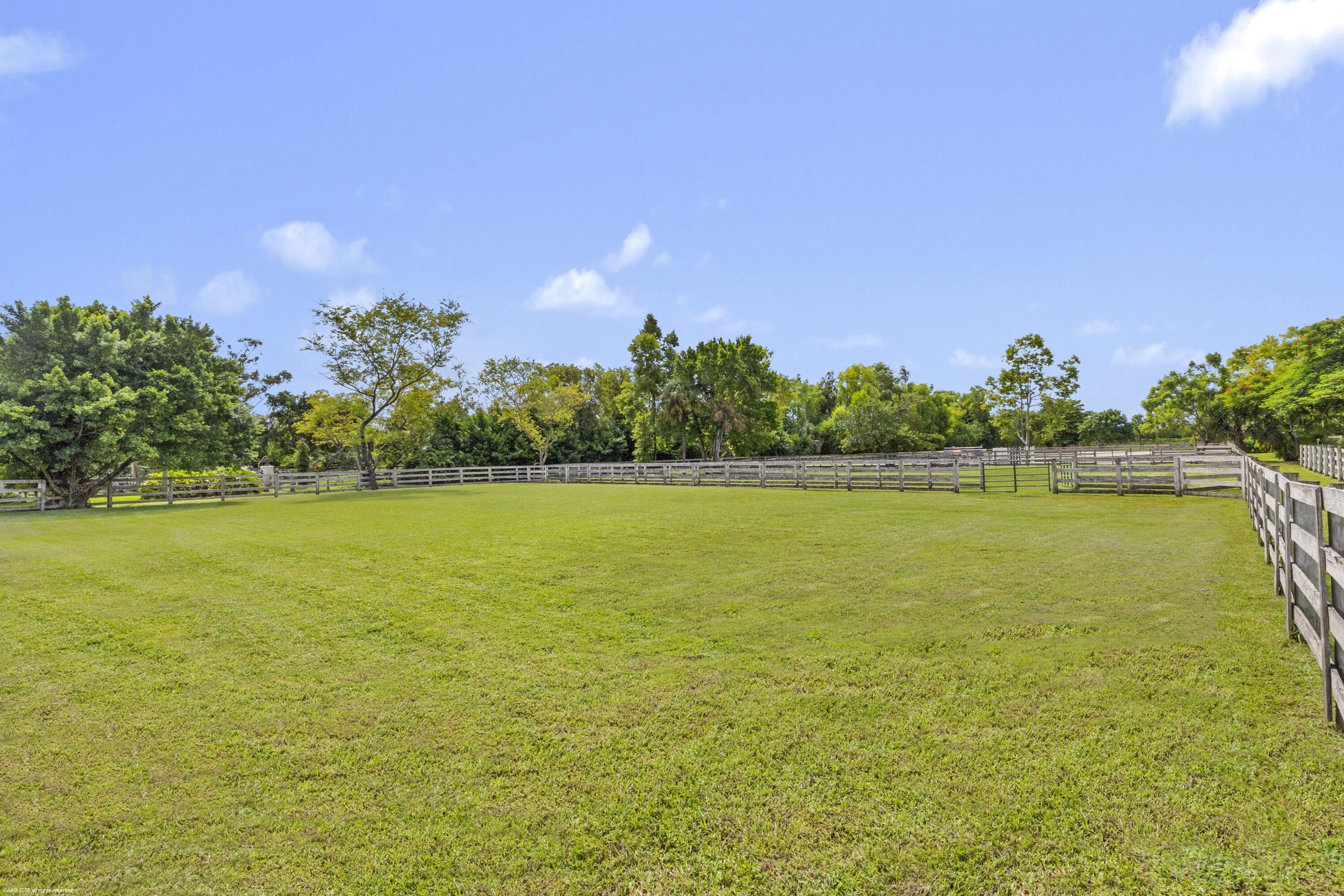 Grass Field