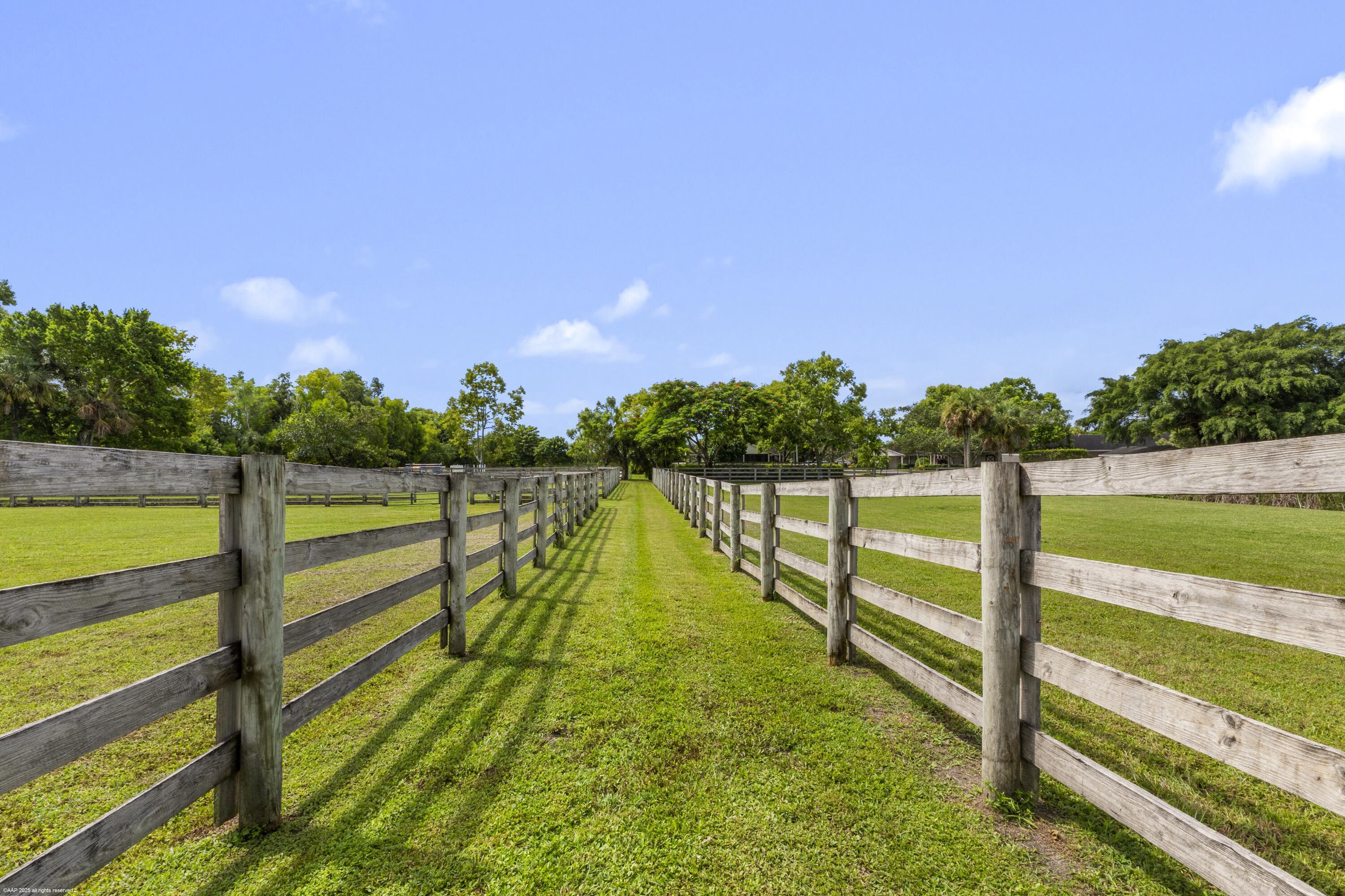 Grass Trail