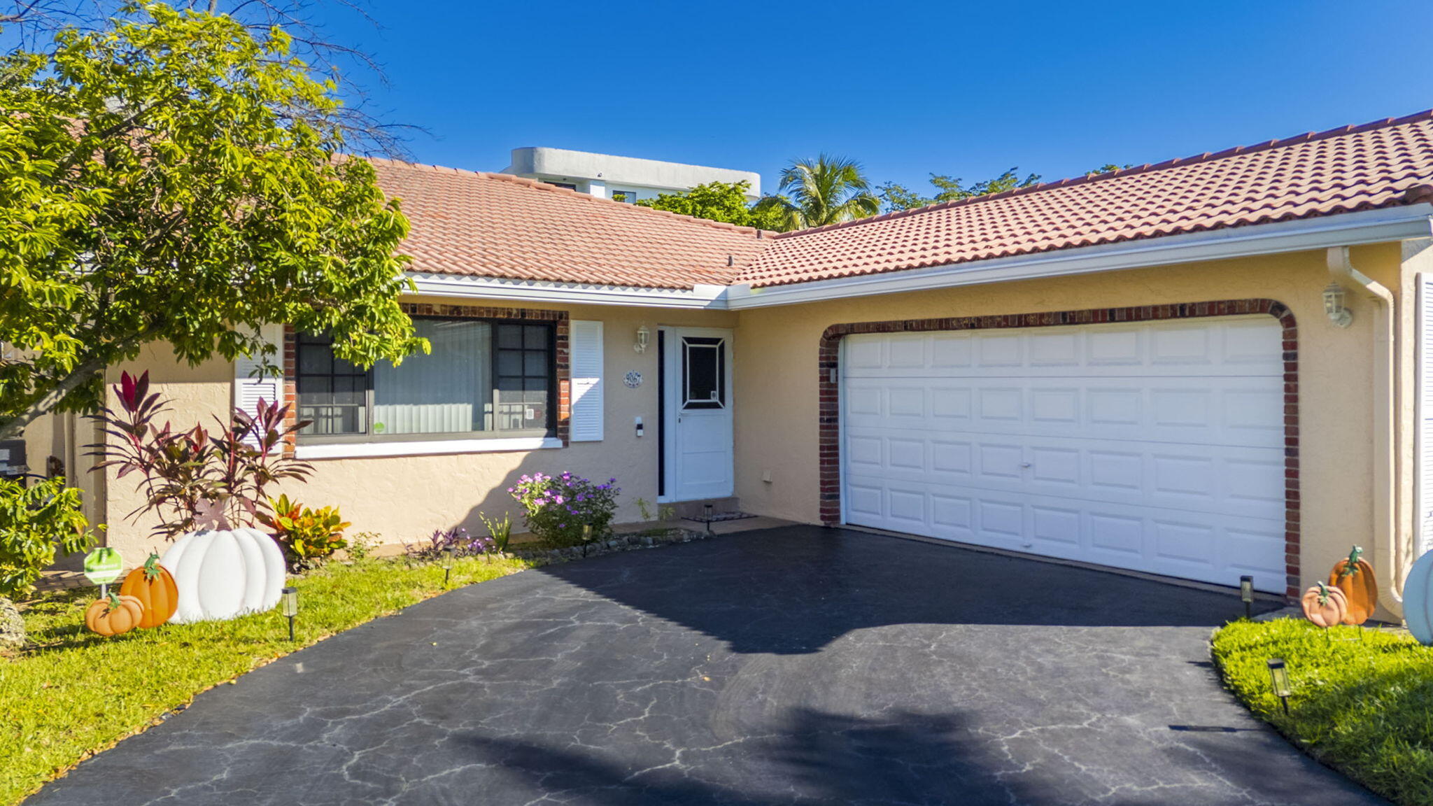 55-web-or-mls-049