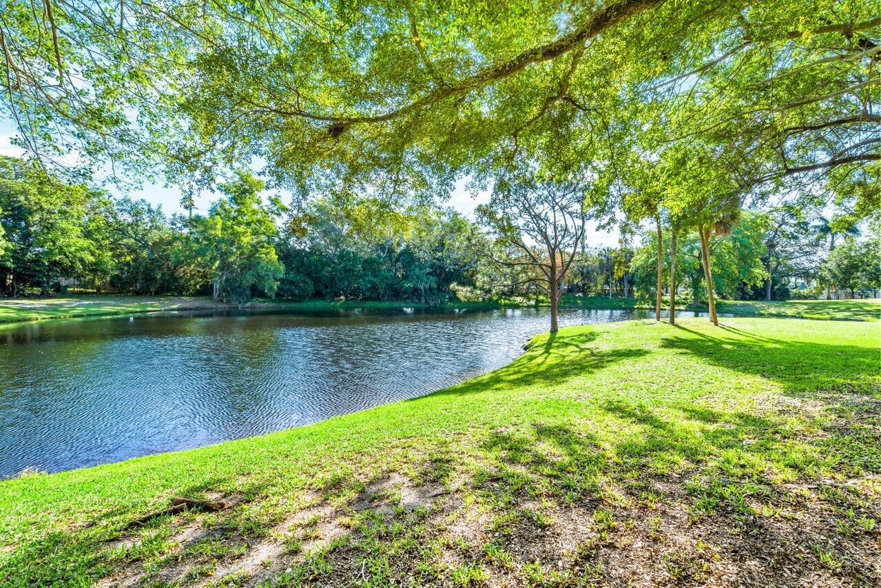 Backyard Serene Lake Views